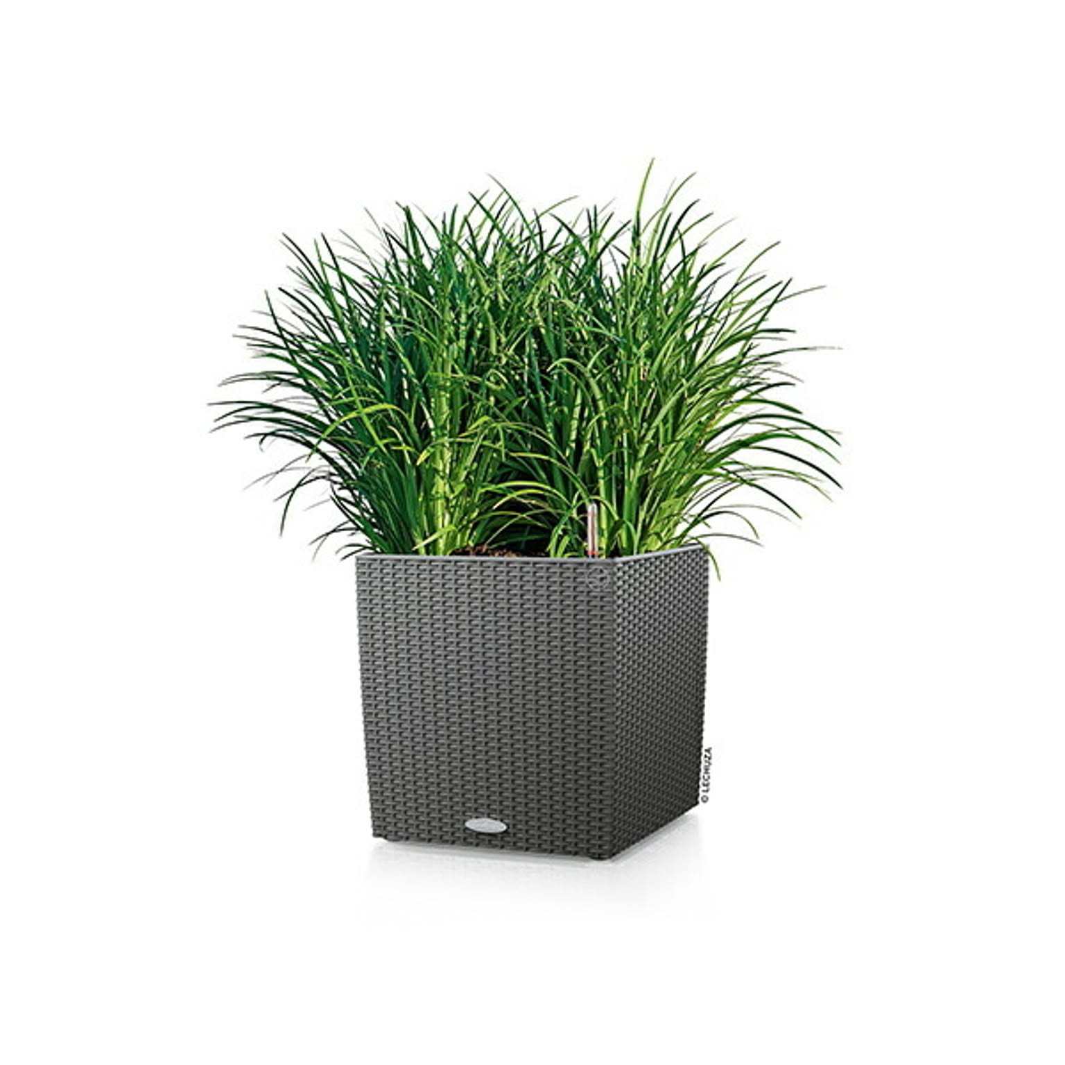 プランター・植木鉢