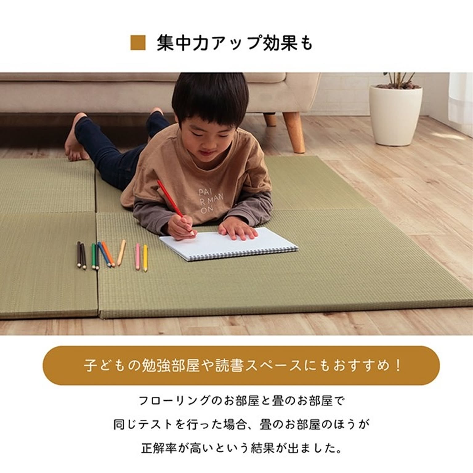 ござ・い草ラグ
