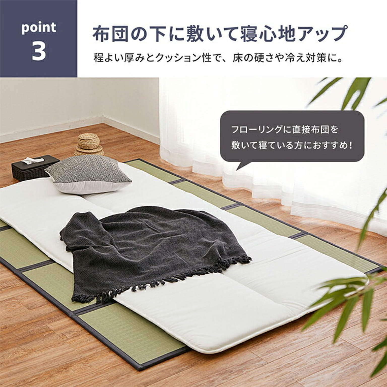 ござ・い草ラグ