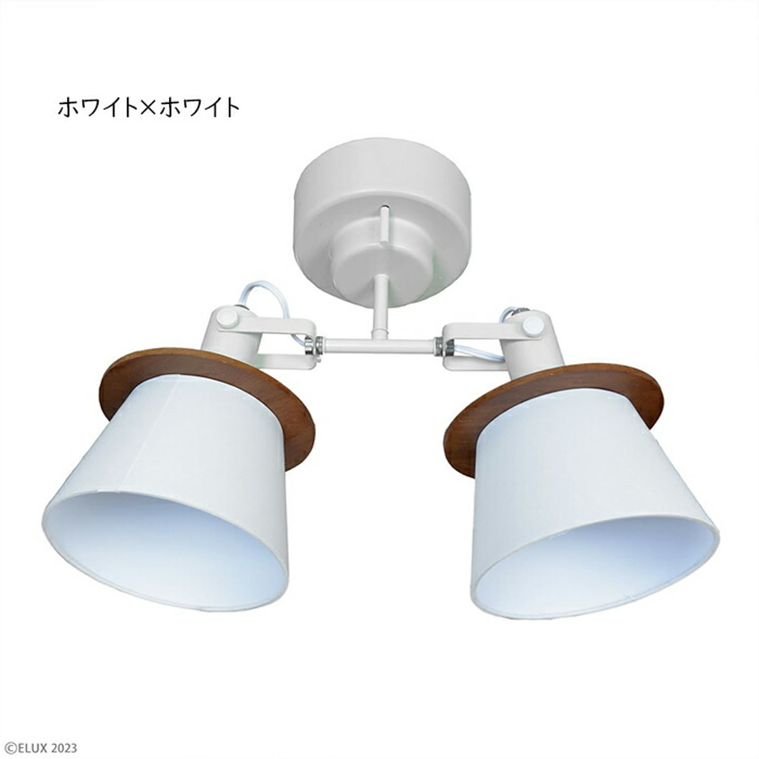 スポットライト