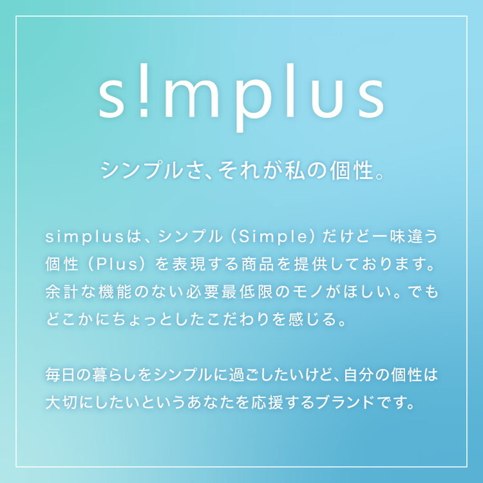 スチームクリーナー