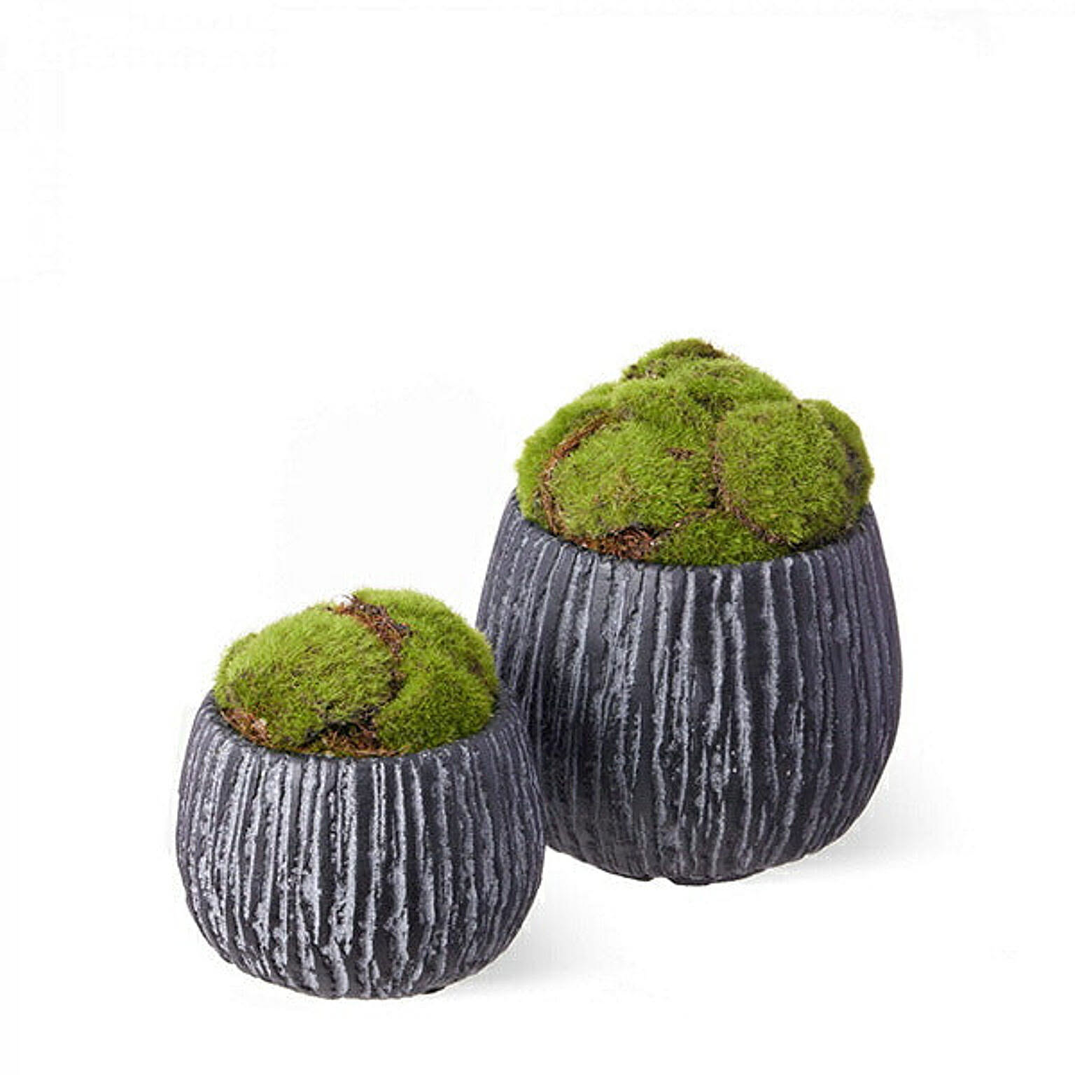 CUPBON 苔盆 SM ペア 盆栽 フェイクグリーン PRGR-1351 プリマ