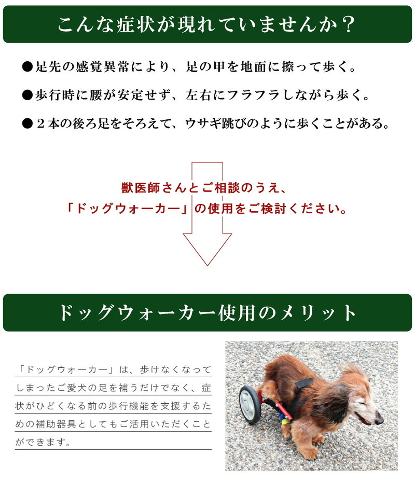 犬用インテリア・犬用家具