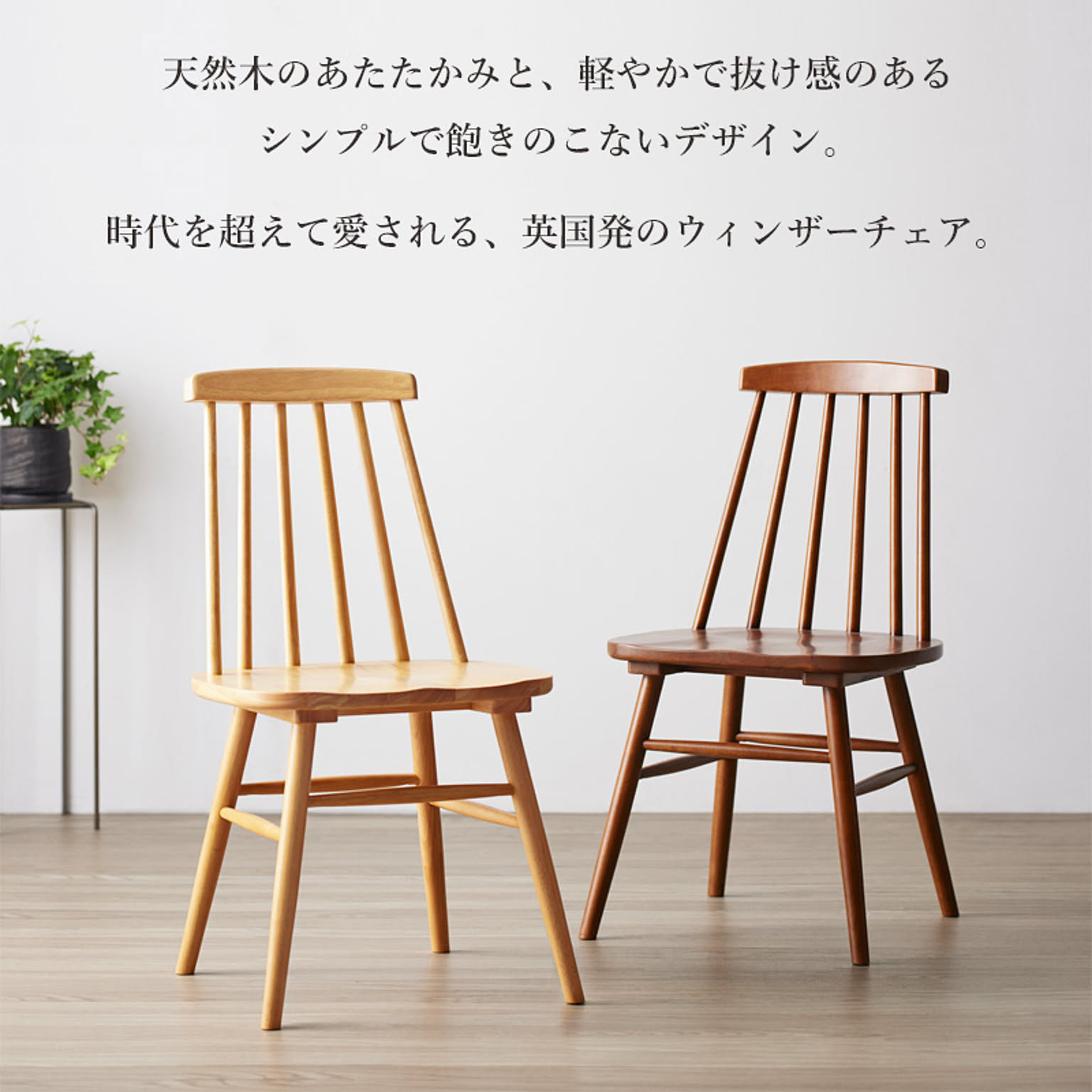 ダイニングチェア