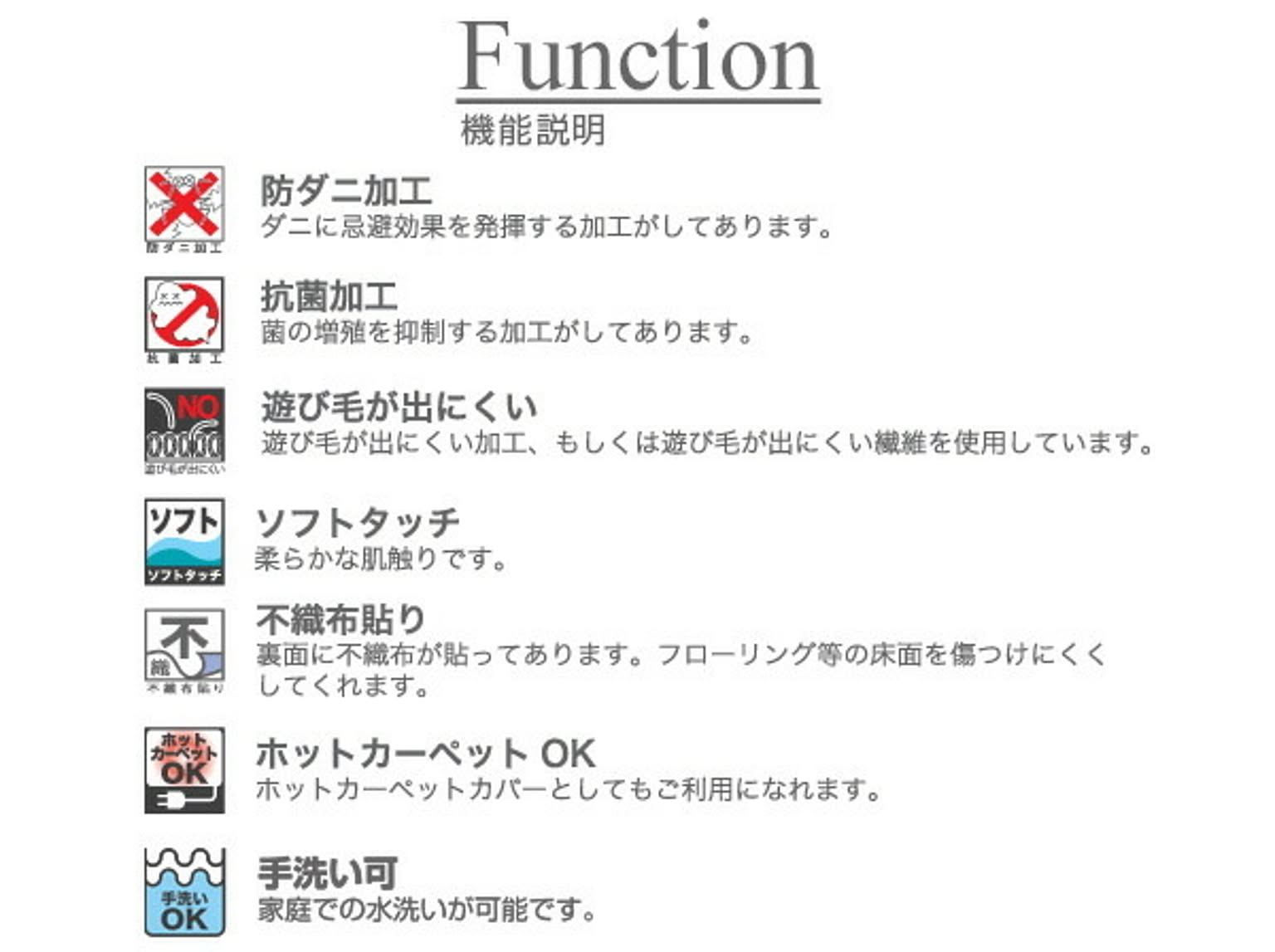 ラグ