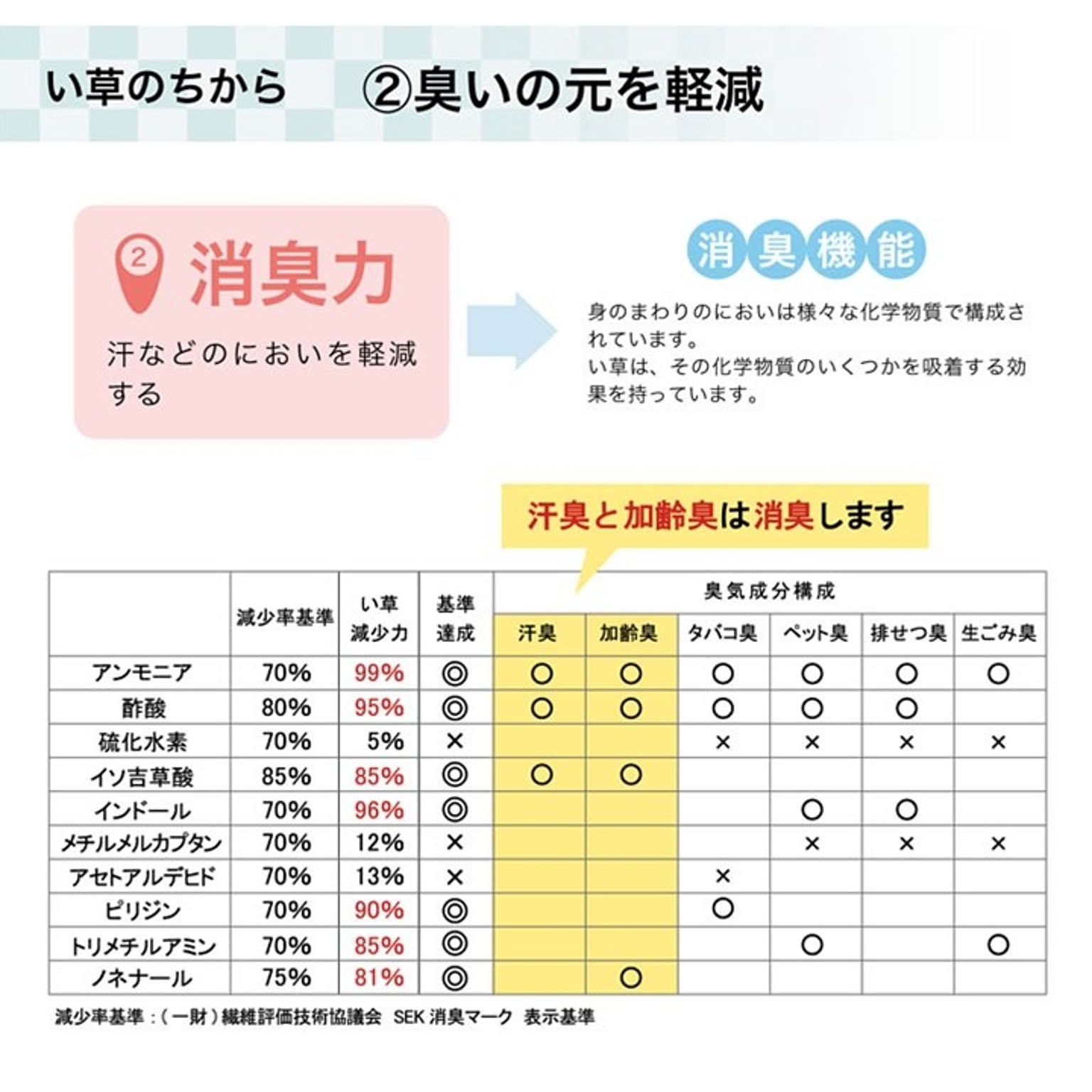 ござ・い草ラグ