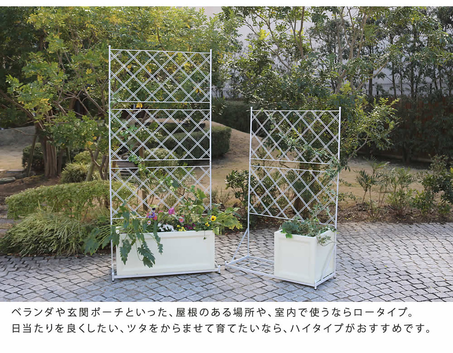 エクステリア
