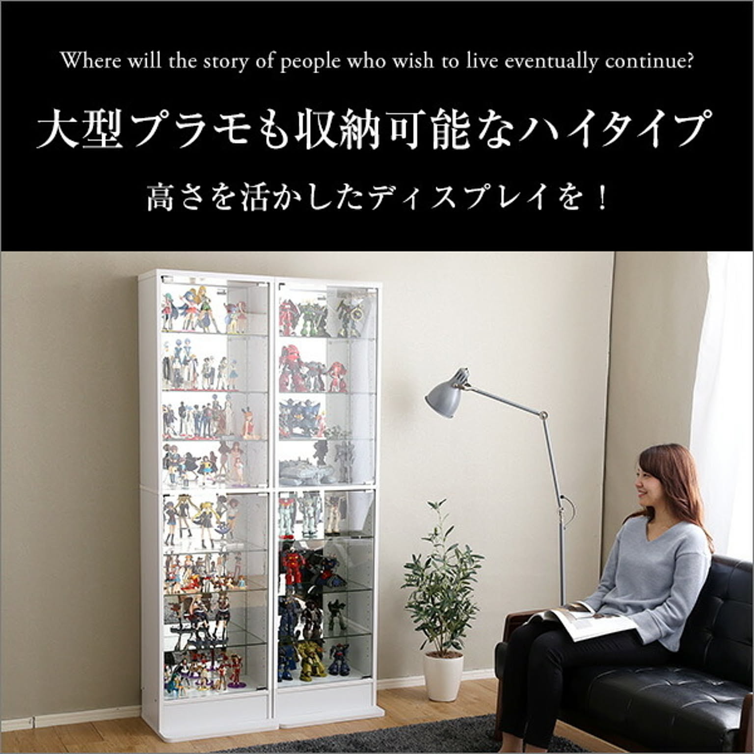 コレクションケース