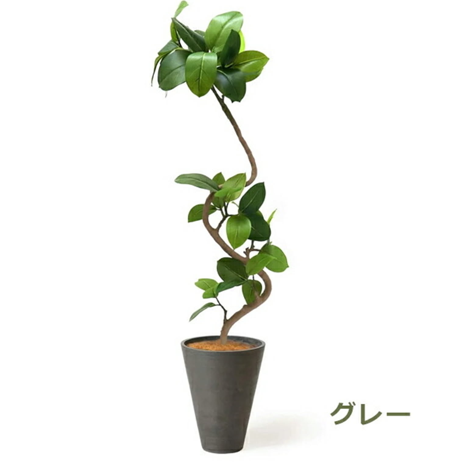 フェイクグリーン