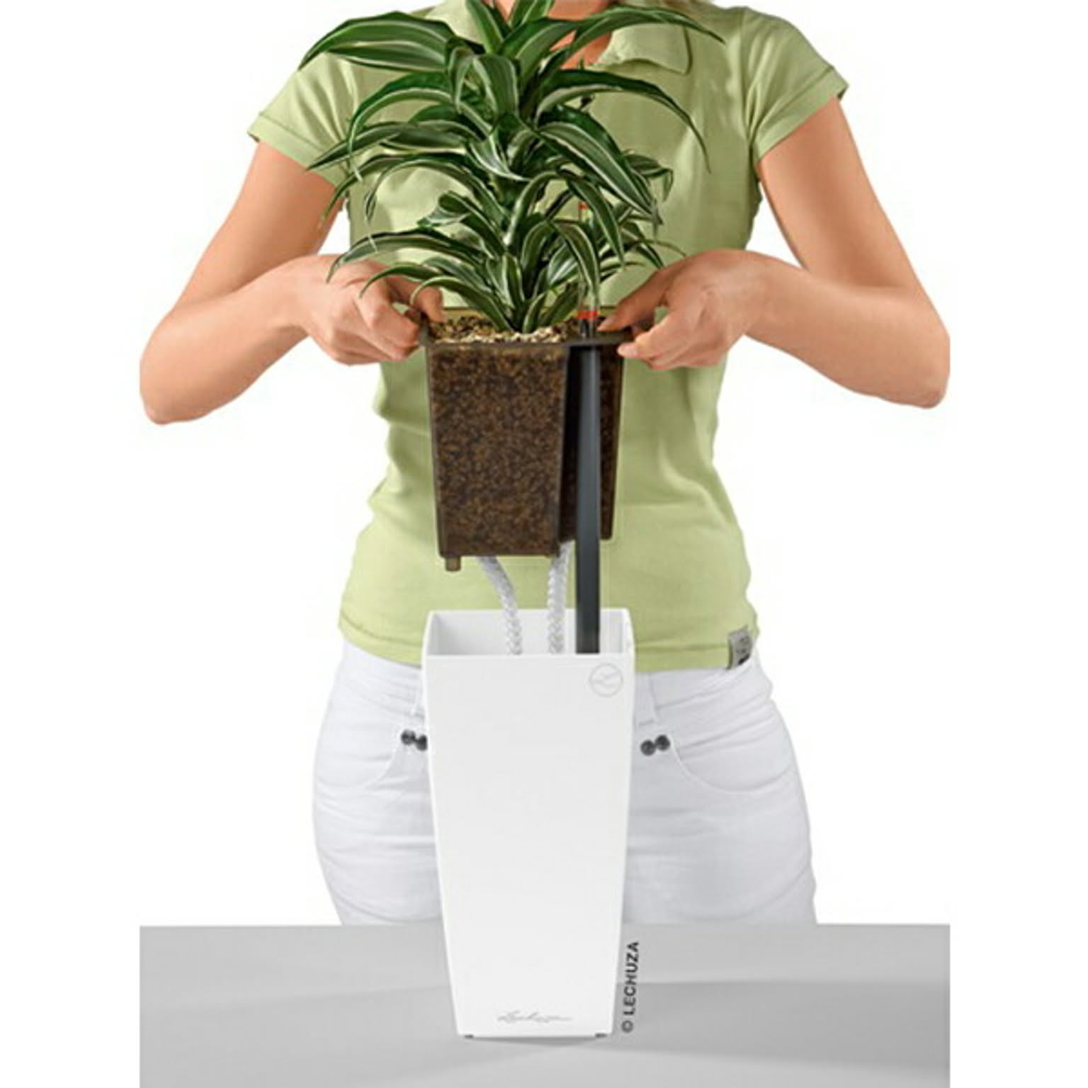 プランター・植木鉢