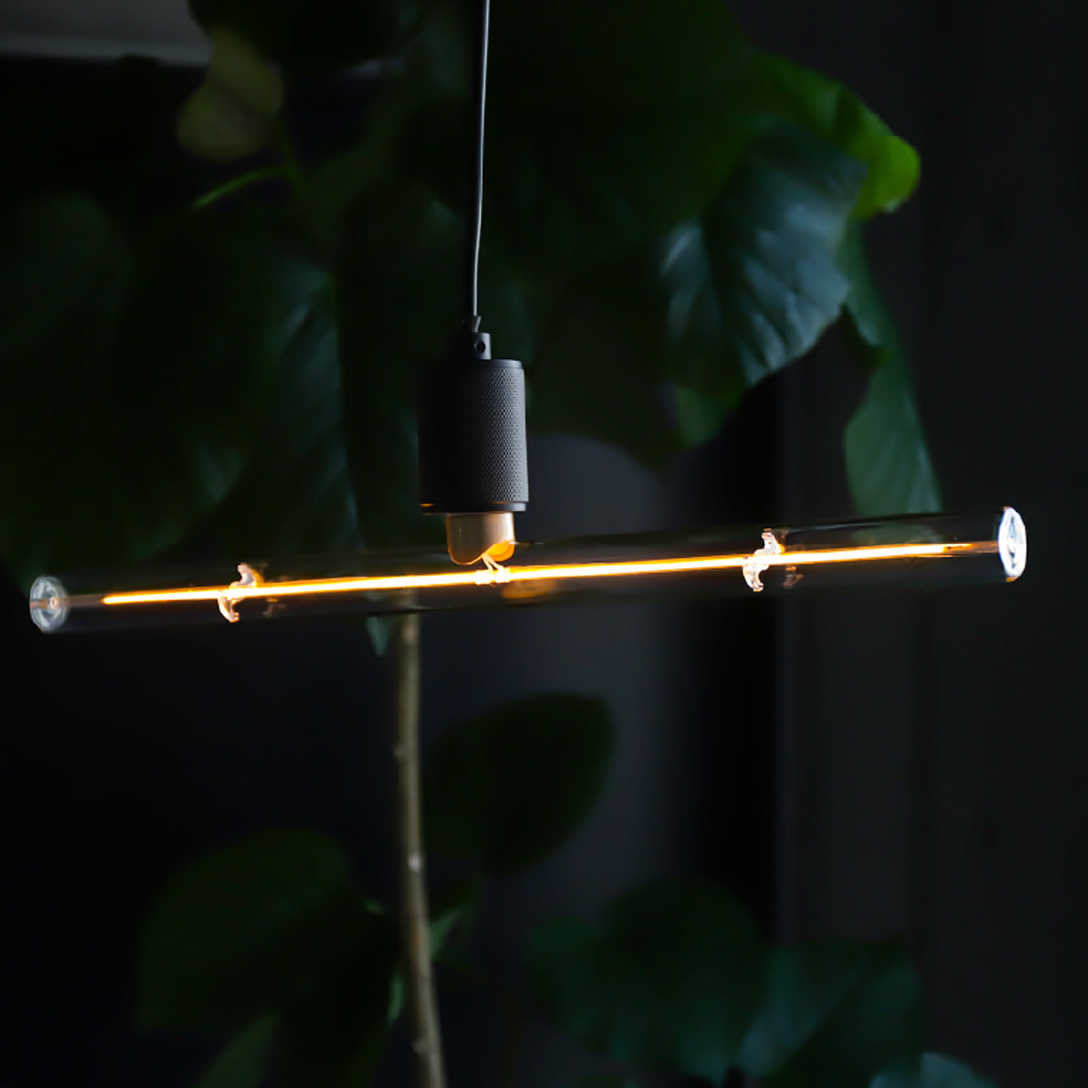 電球