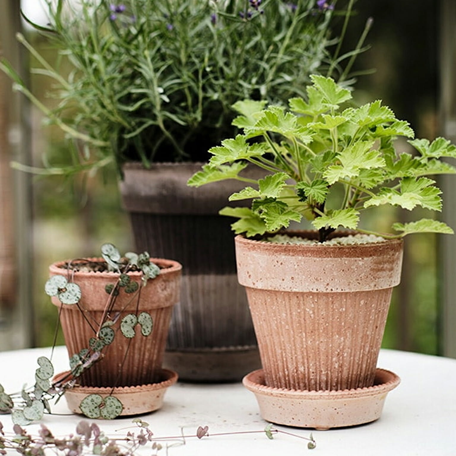 プランター・植木鉢