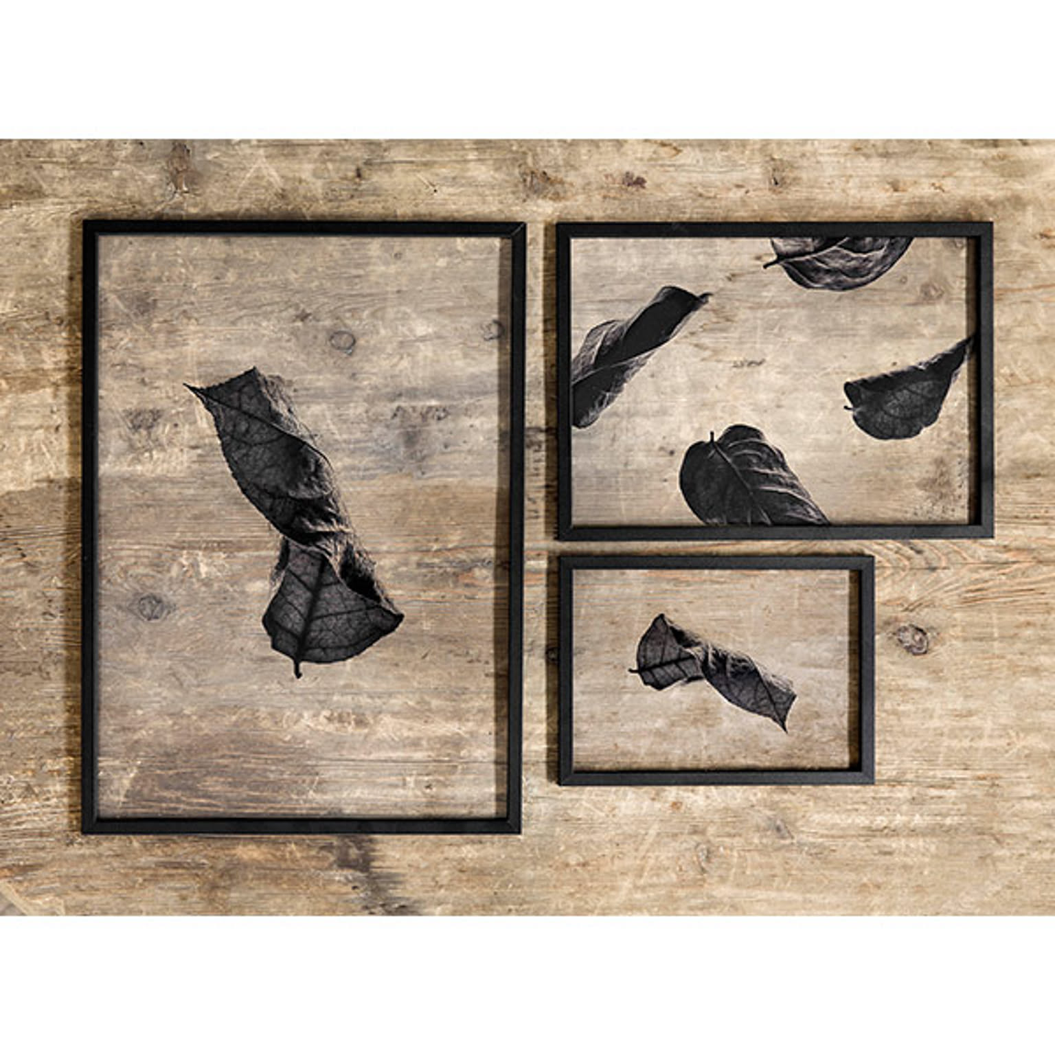 ポスター・ポスターフレーム