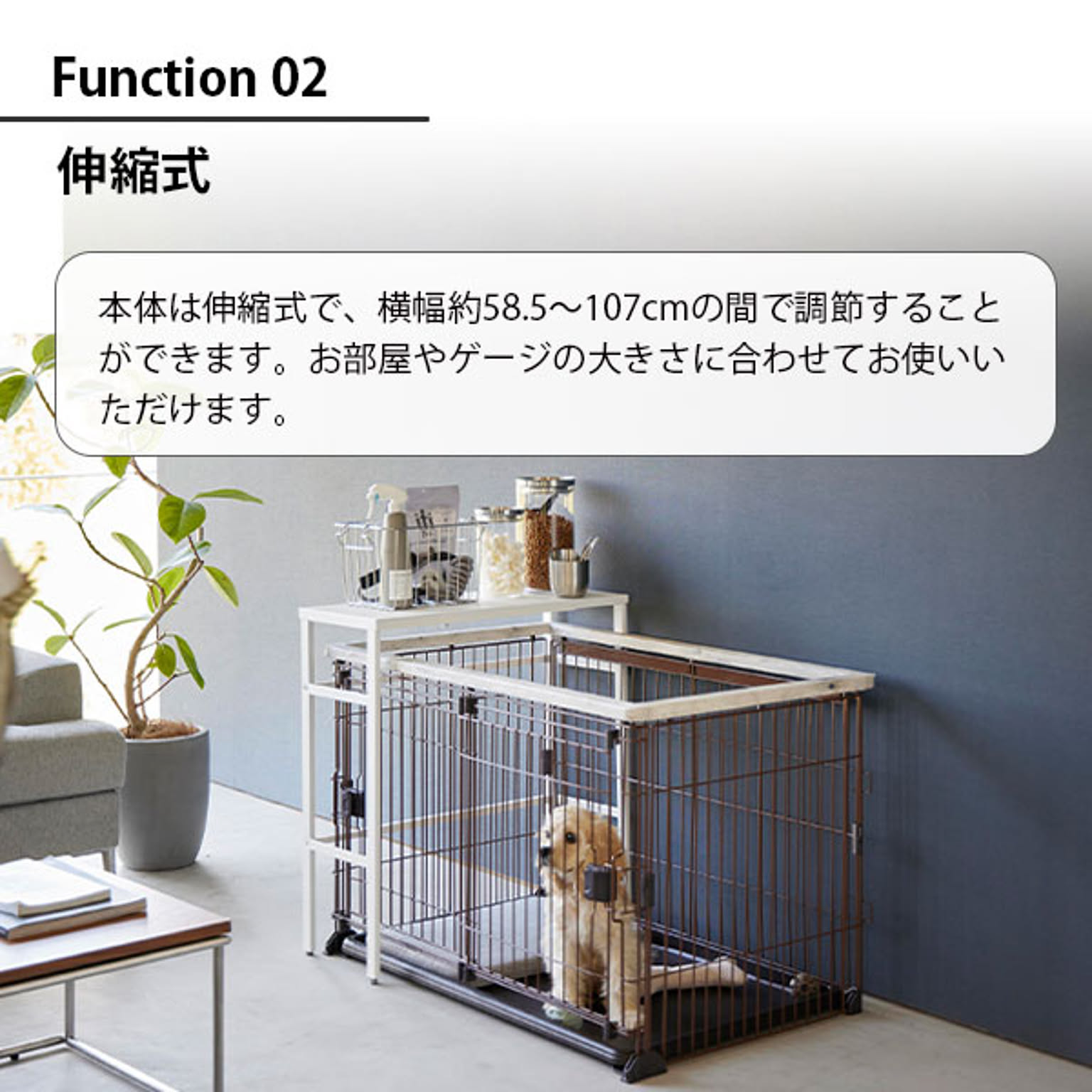 犬用インテリア・犬用家具