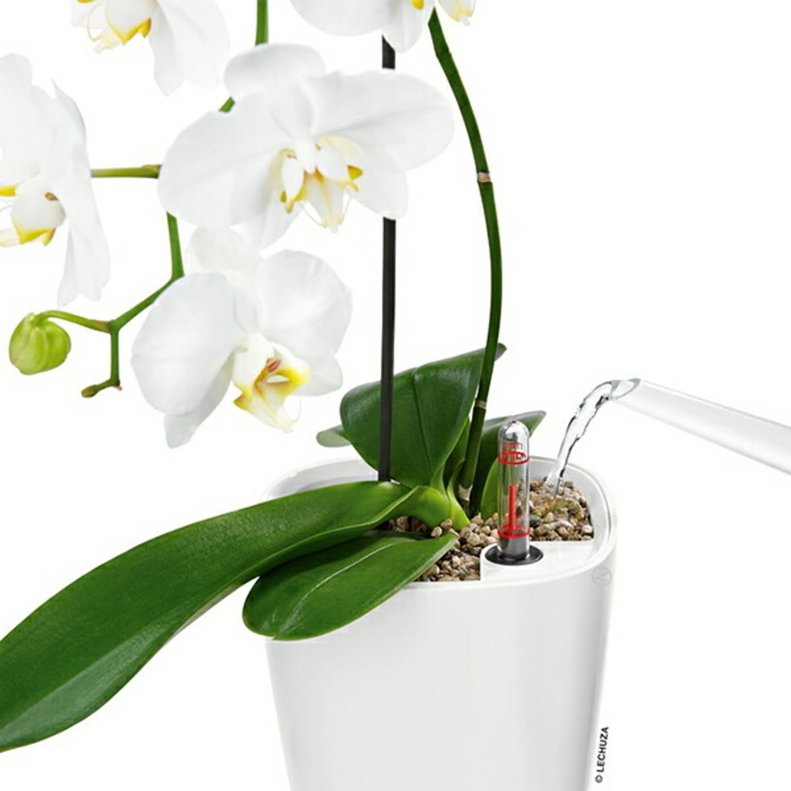 プランター・植木鉢