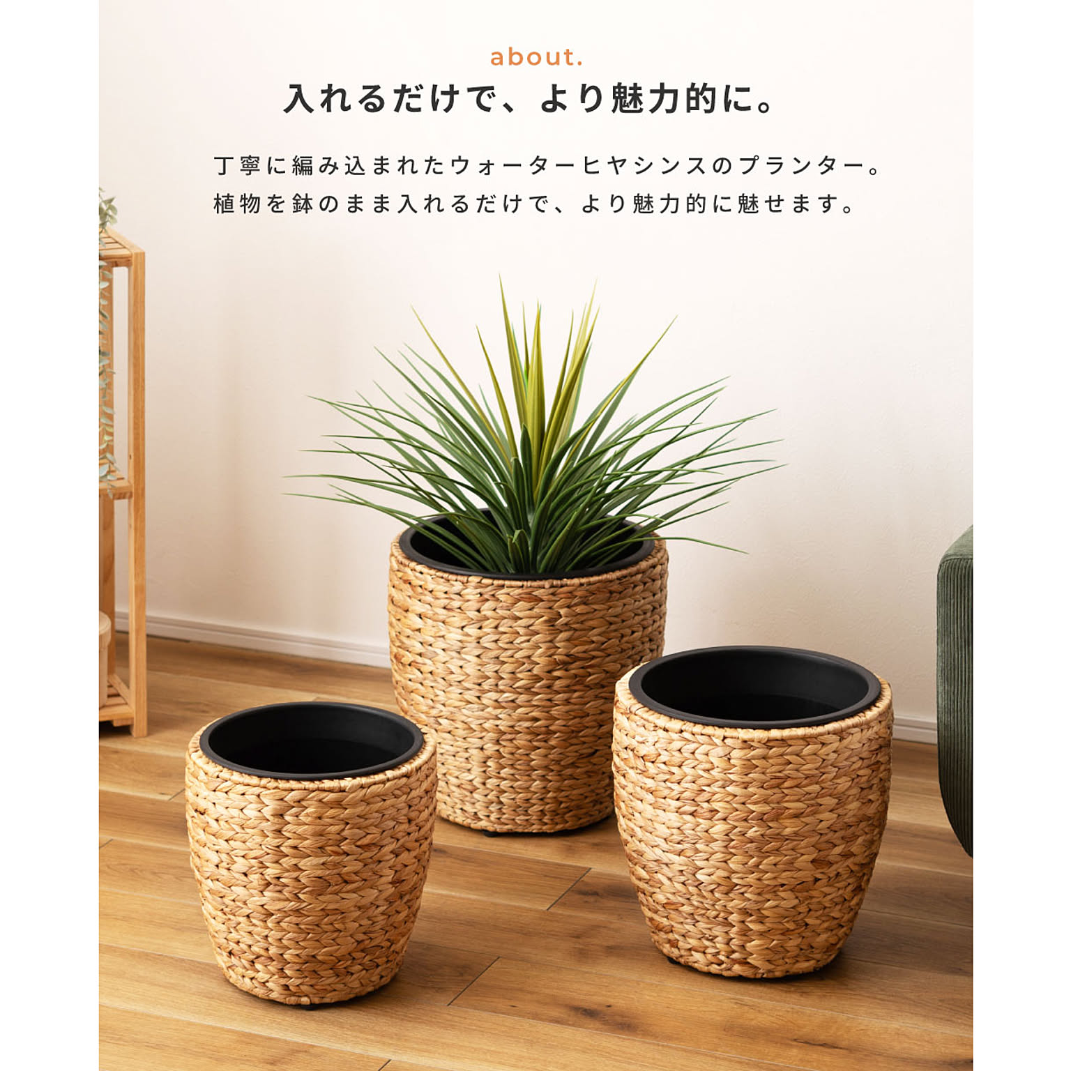 プランター・植木鉢