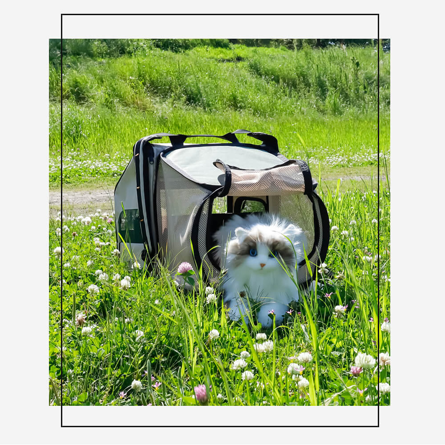 犬用インテリア・犬用家具