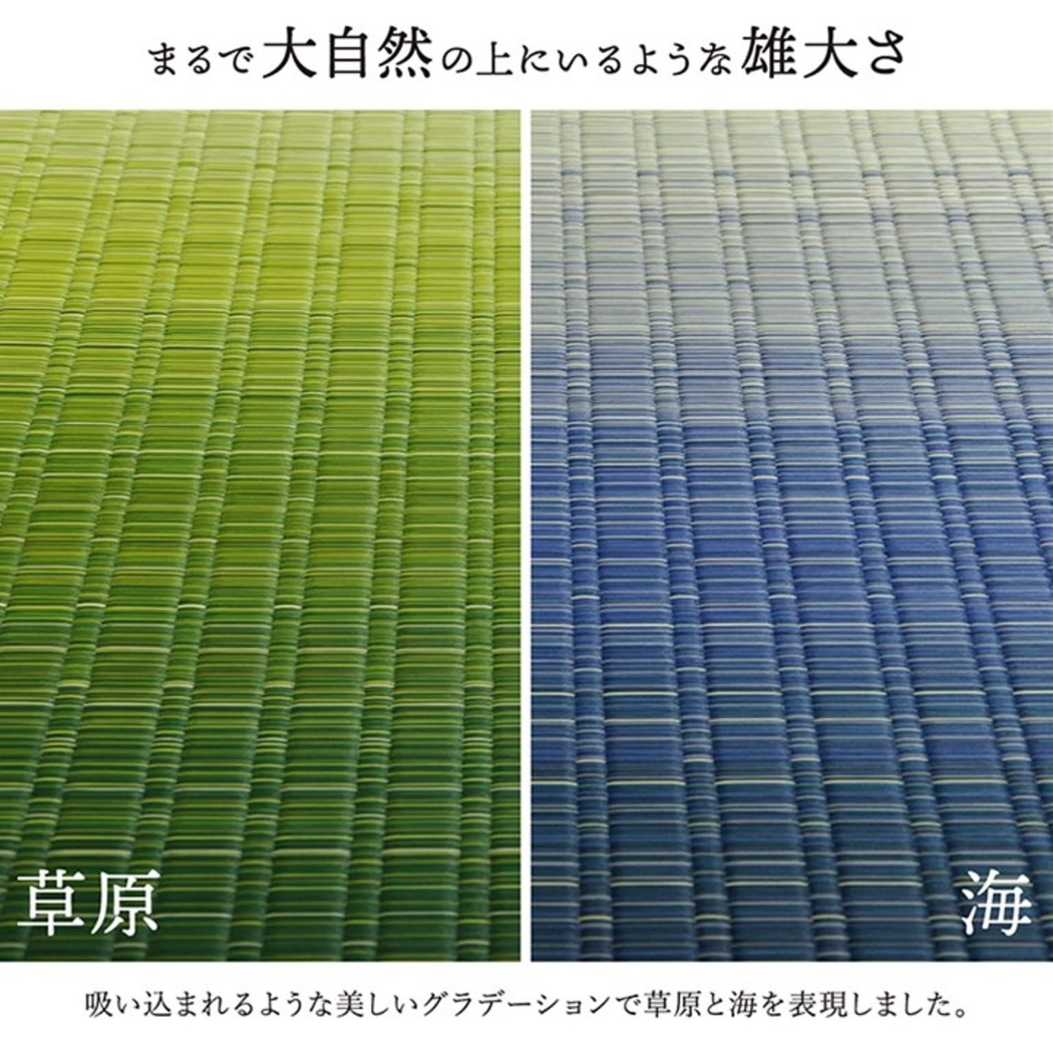 ござ・い草ラグ