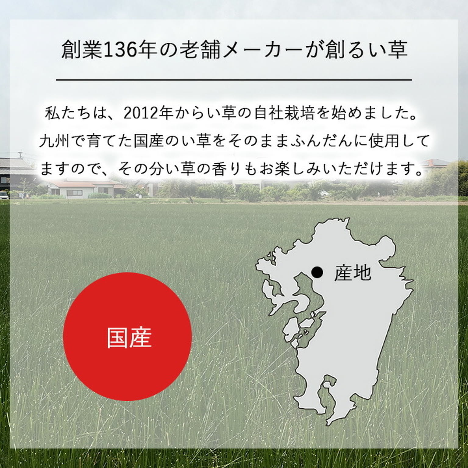 アロマオイル・ディフューザー・ルームフレグランス