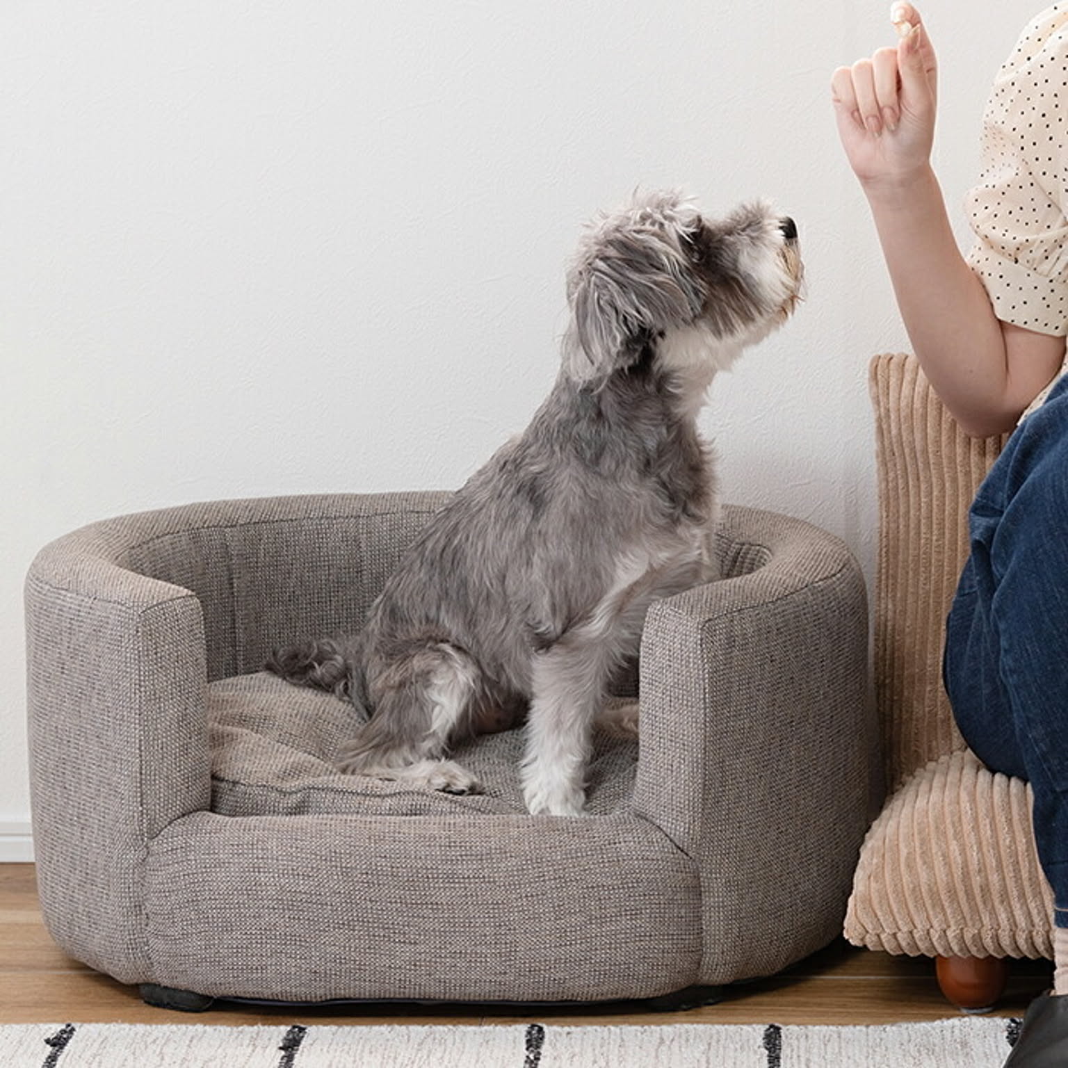 犬用インテリア・犬用家具
