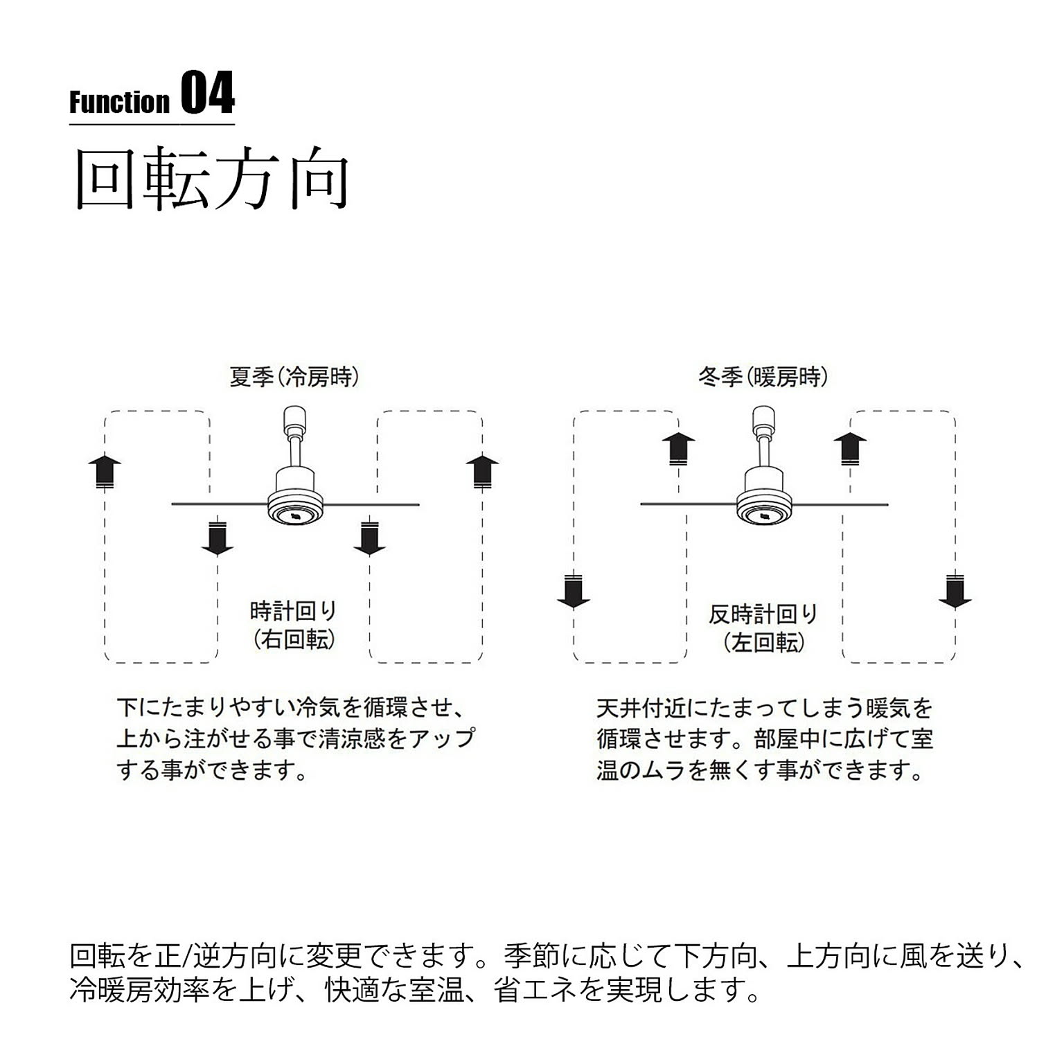 シーリングファンライト