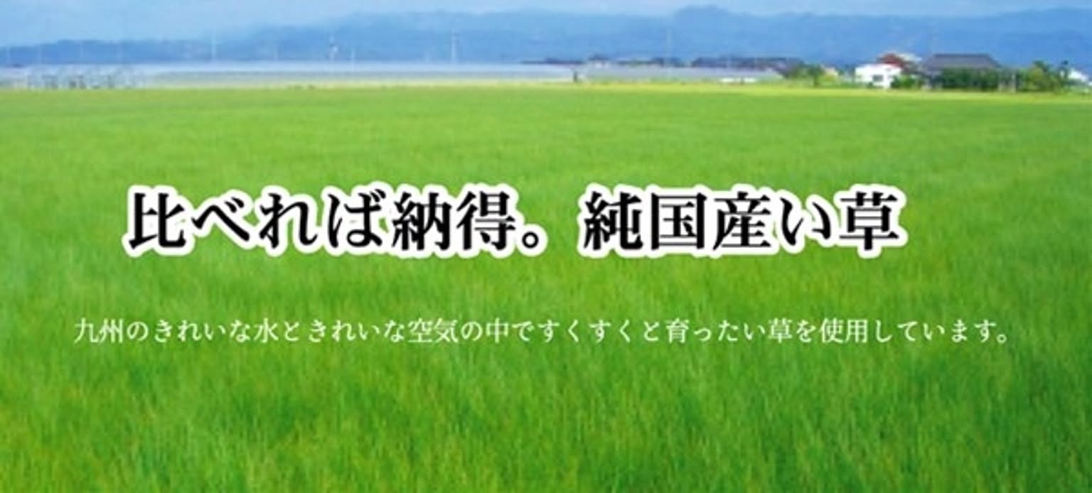 ござ・い草ラグ
