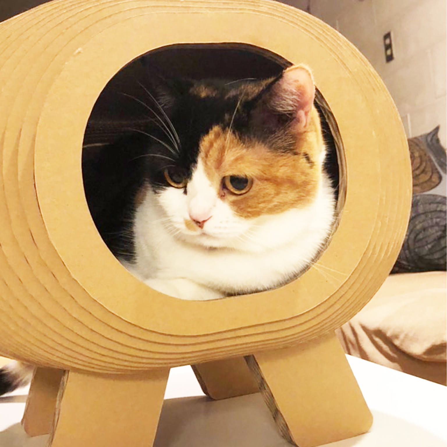 猫用インテリア・猫用家具