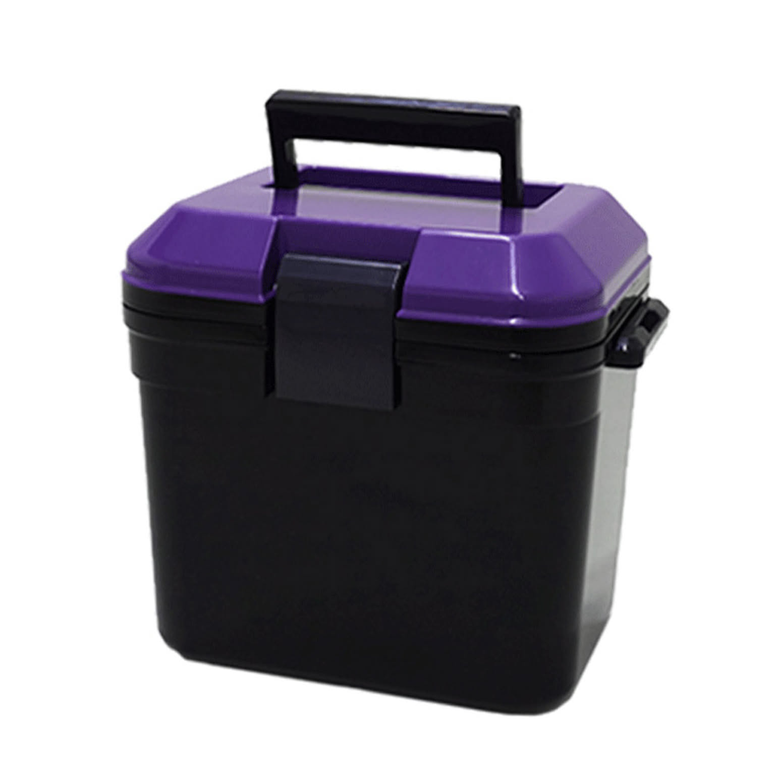 限定カラークーラーボックス ベルト付 小型 コンパクト かわいい 7L 