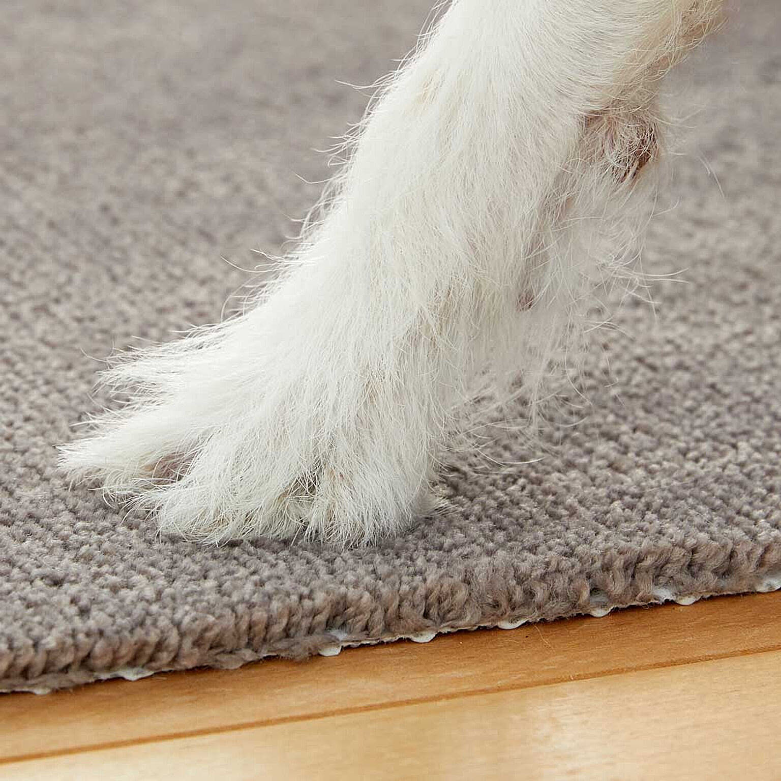犬用インテリア・犬用家具