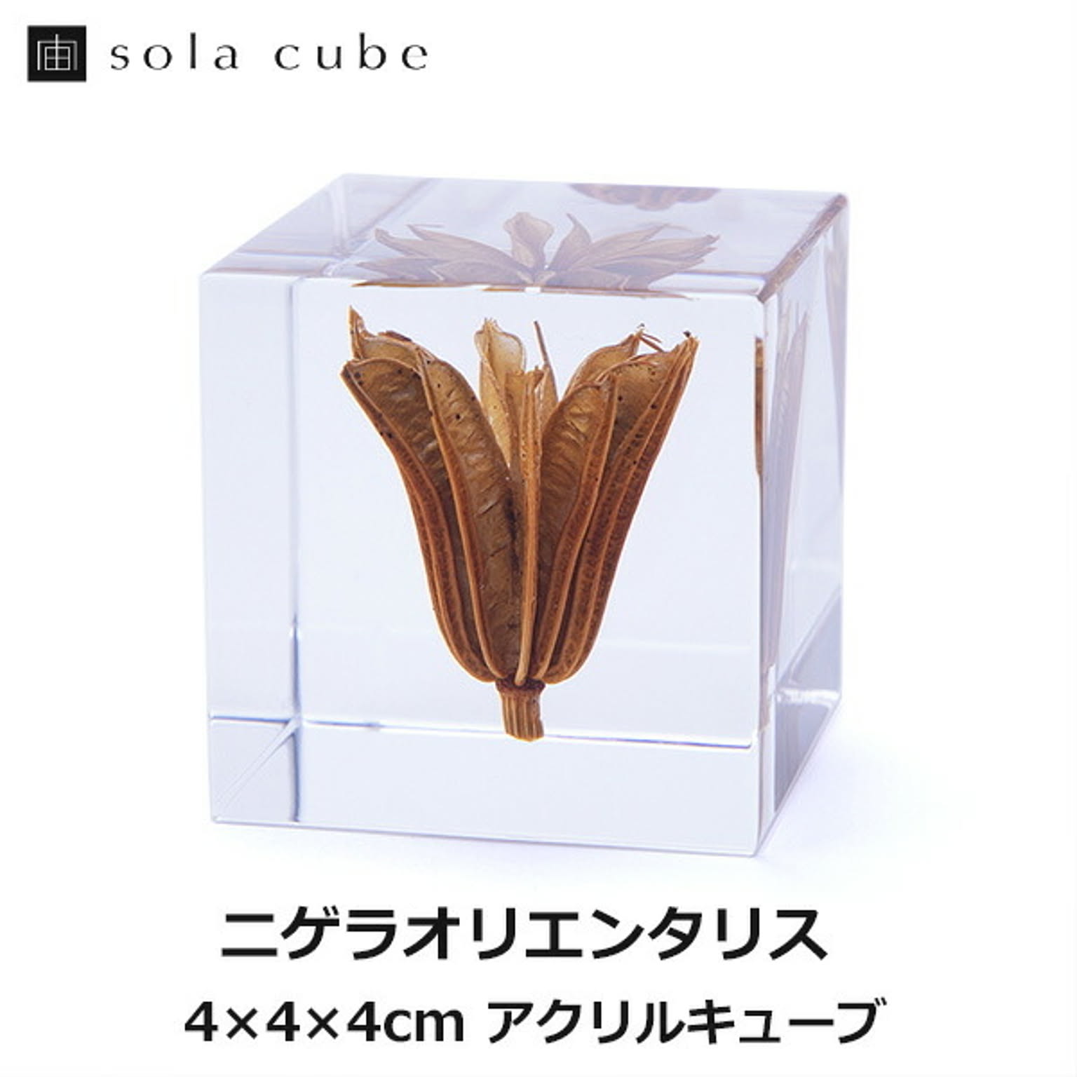 置物・オブジェ