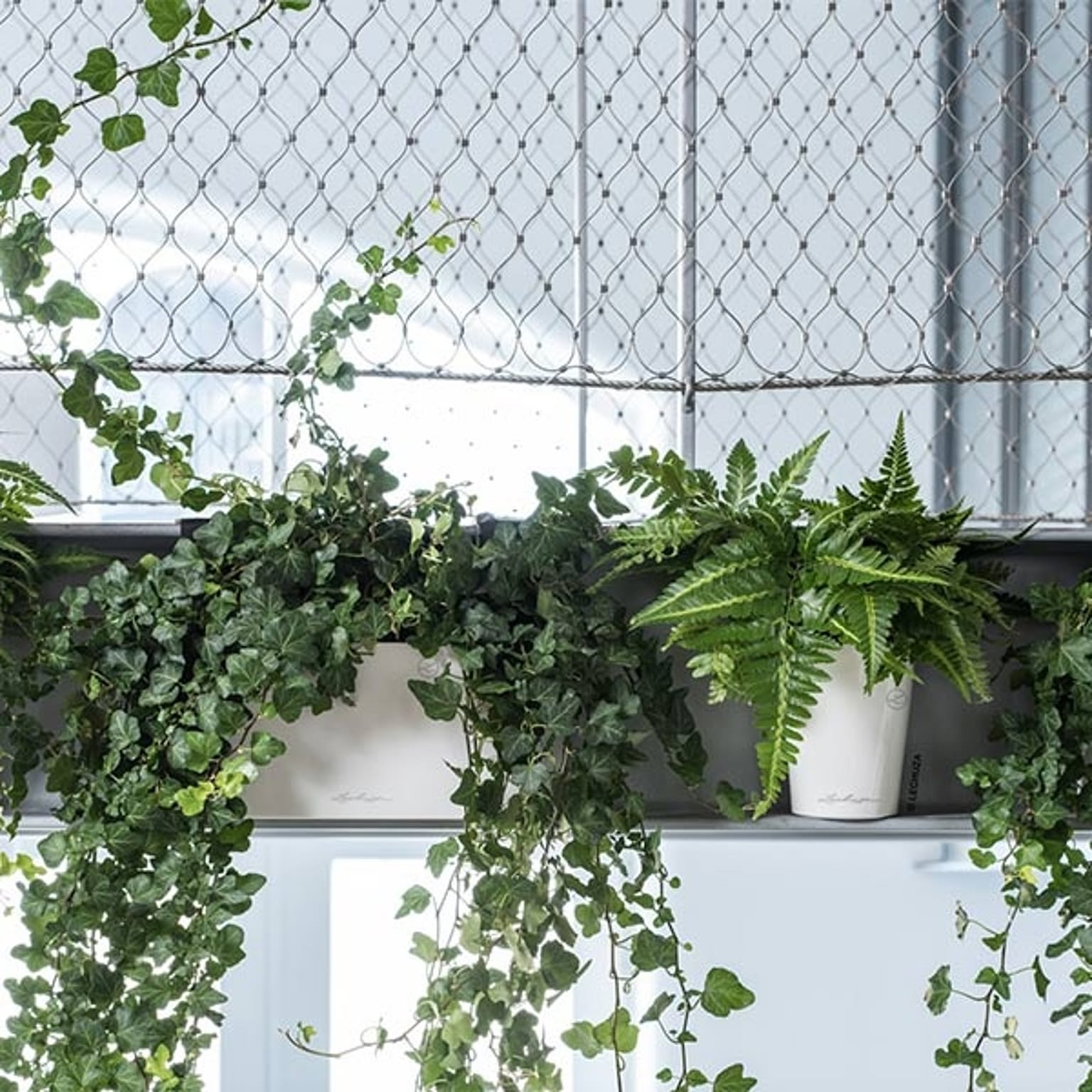 プランター・植木鉢