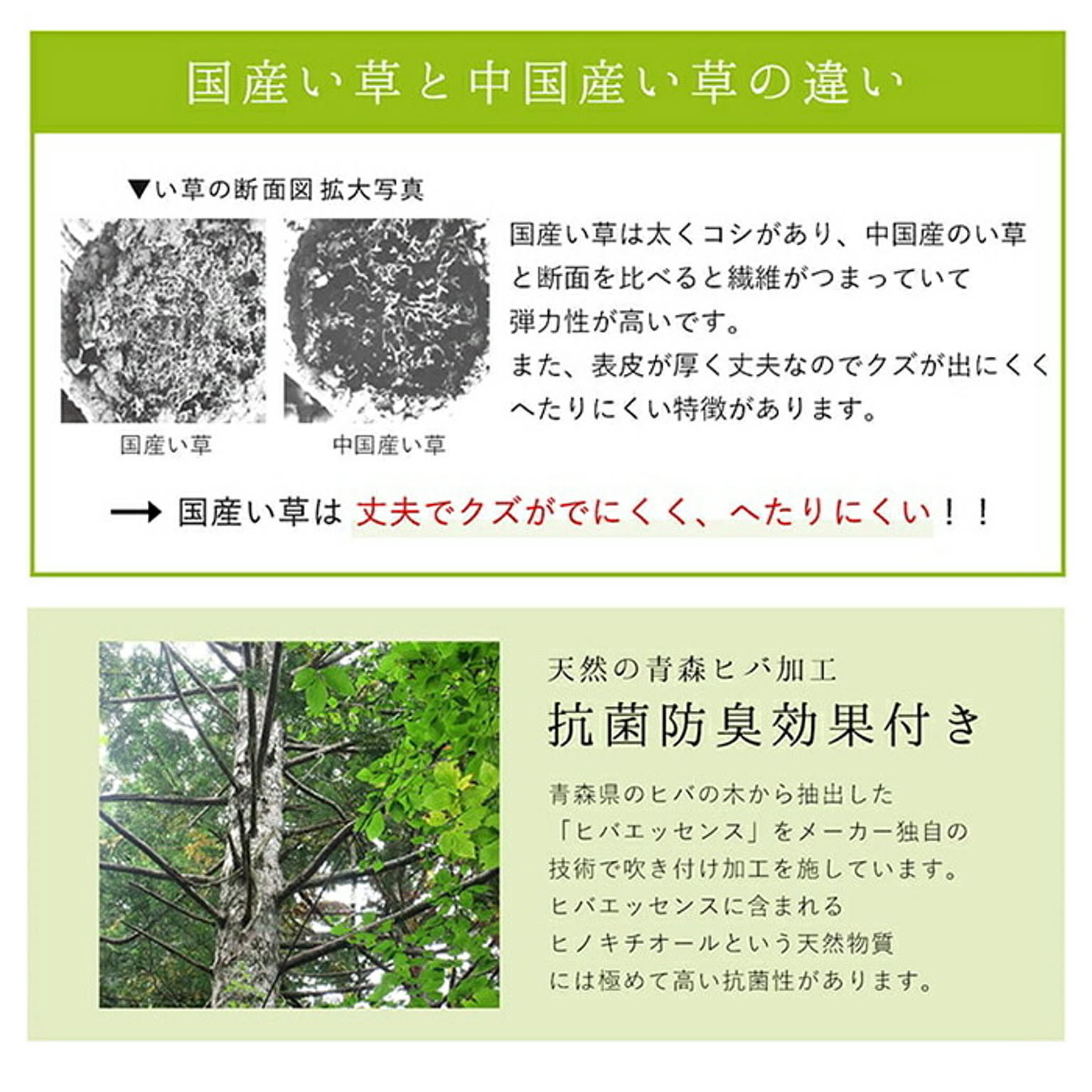 ござ・い草ラグ