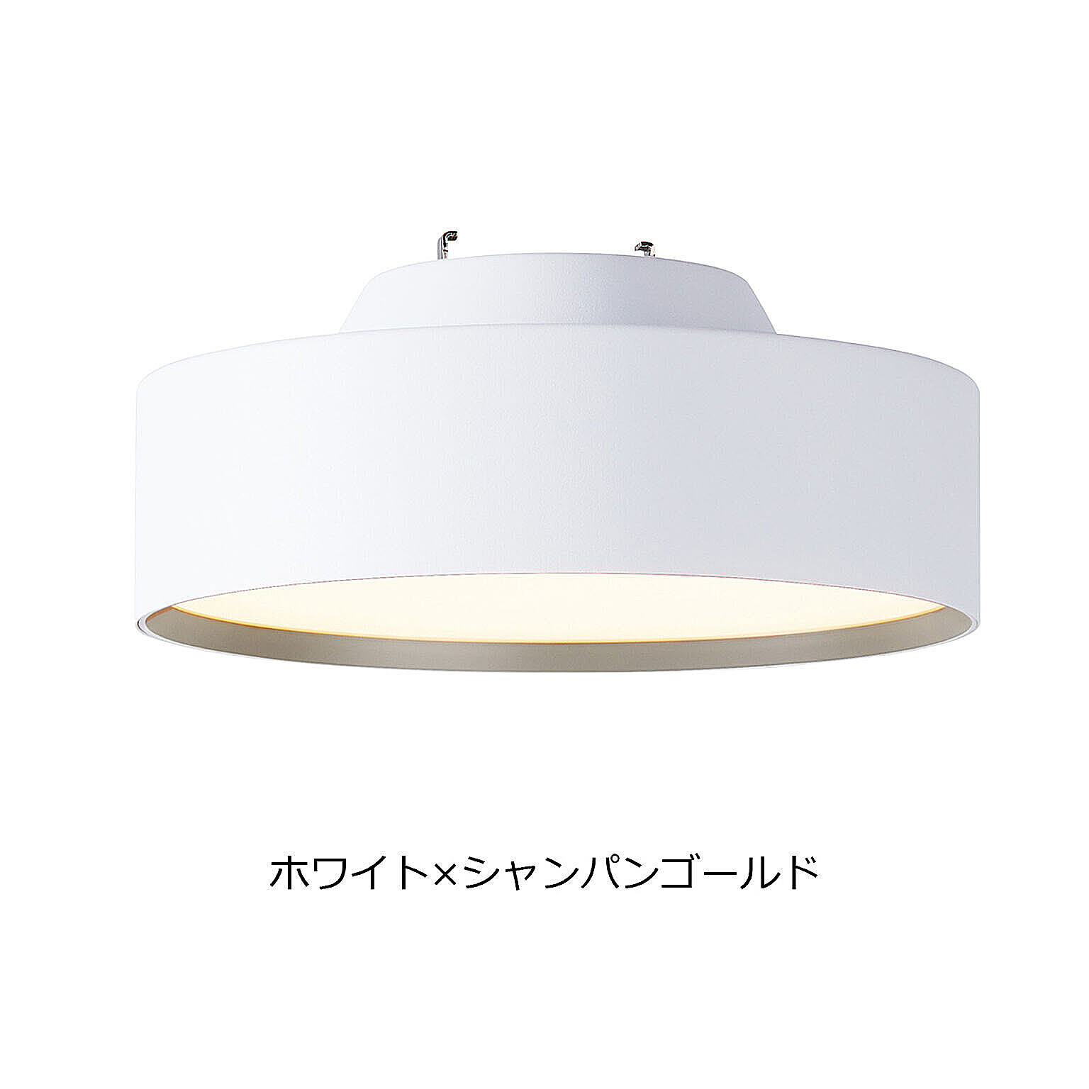 シーリングライト