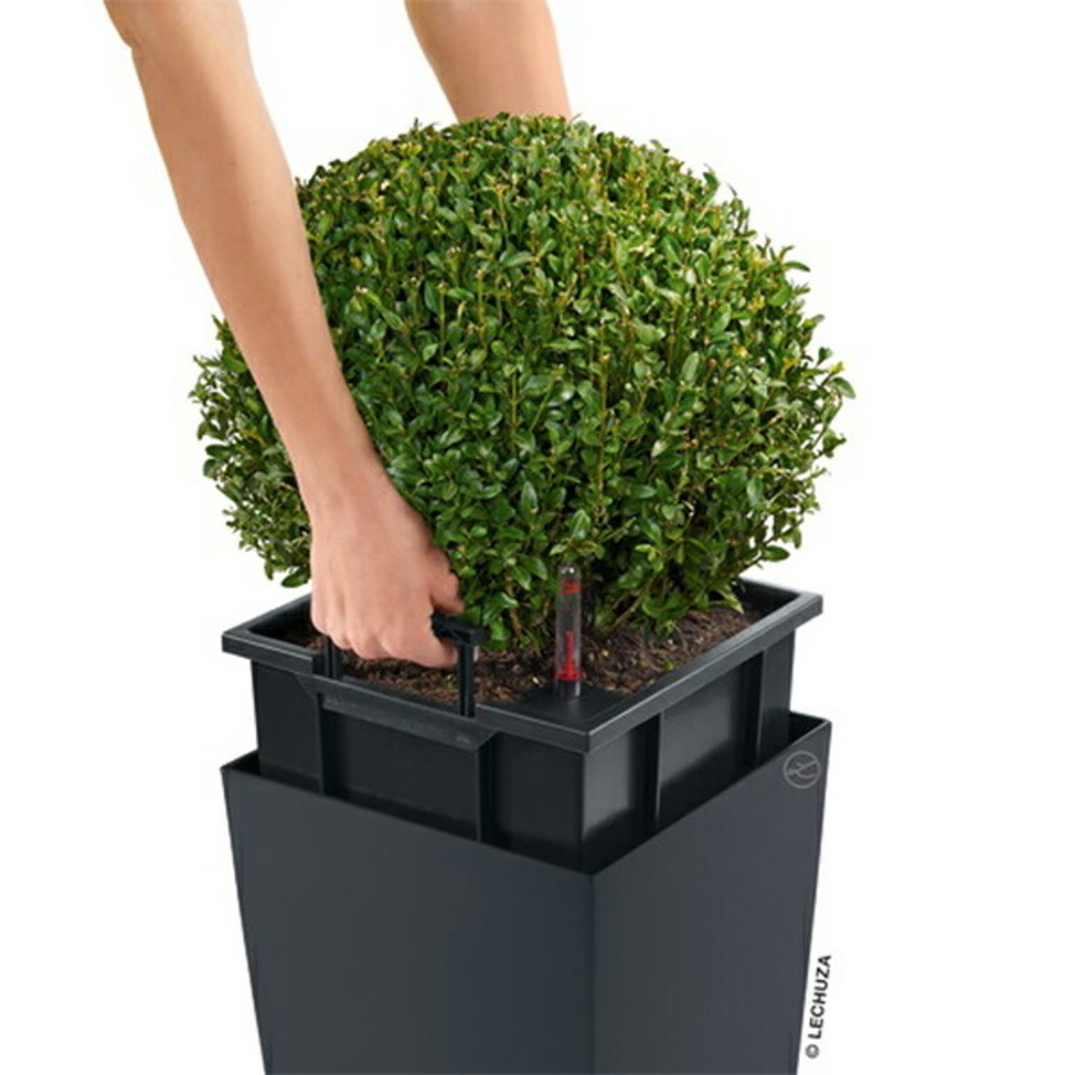 プランター・植木鉢
