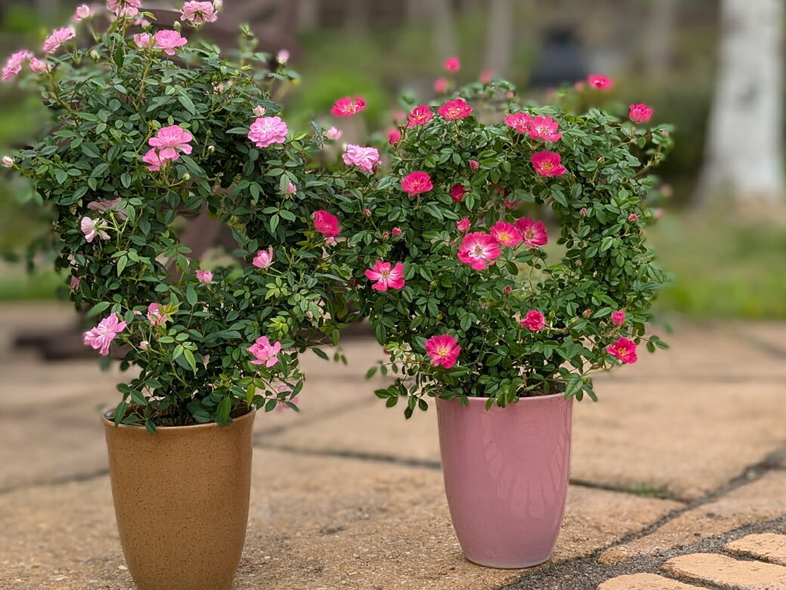 造花・アートフラワー