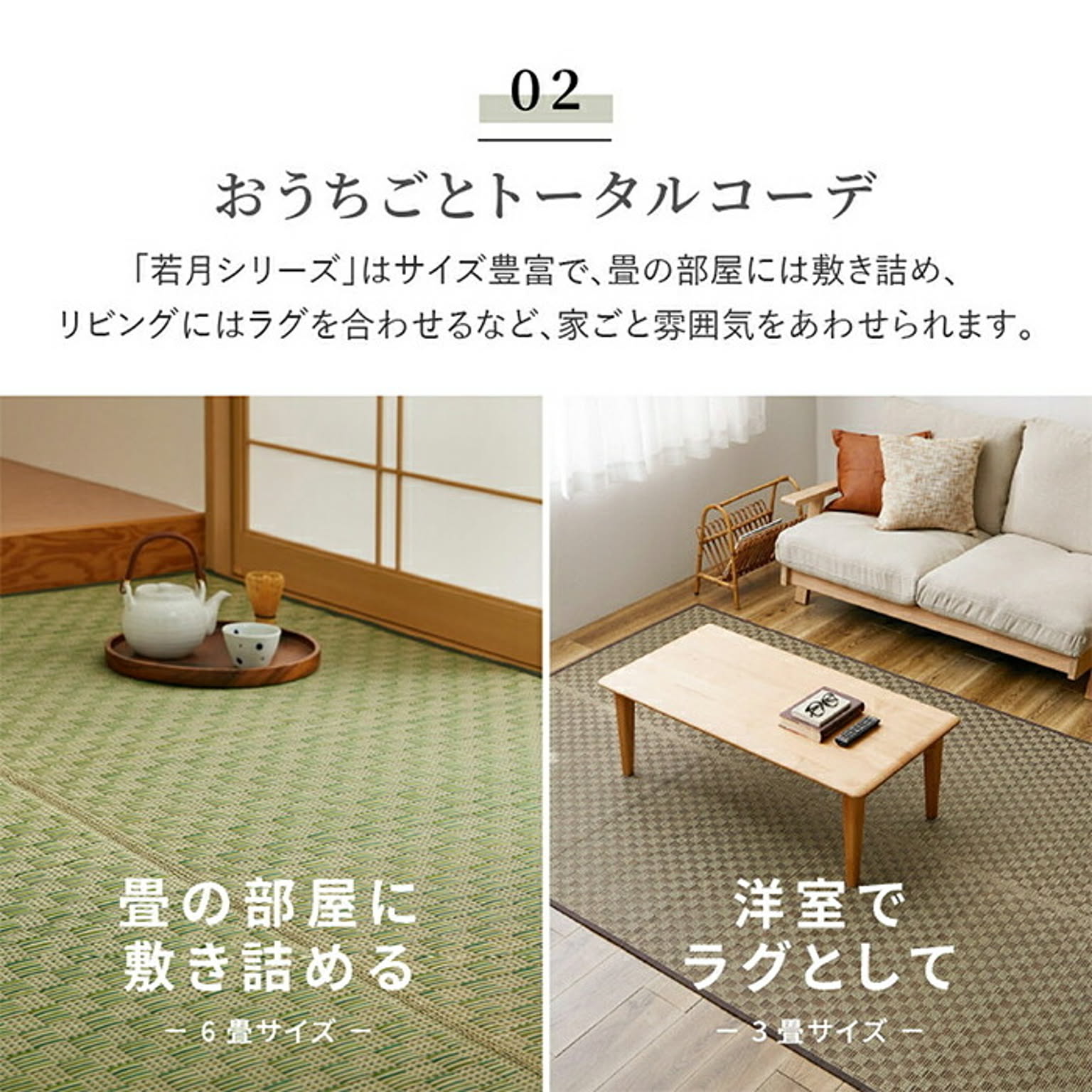ござ・い草ラグ
