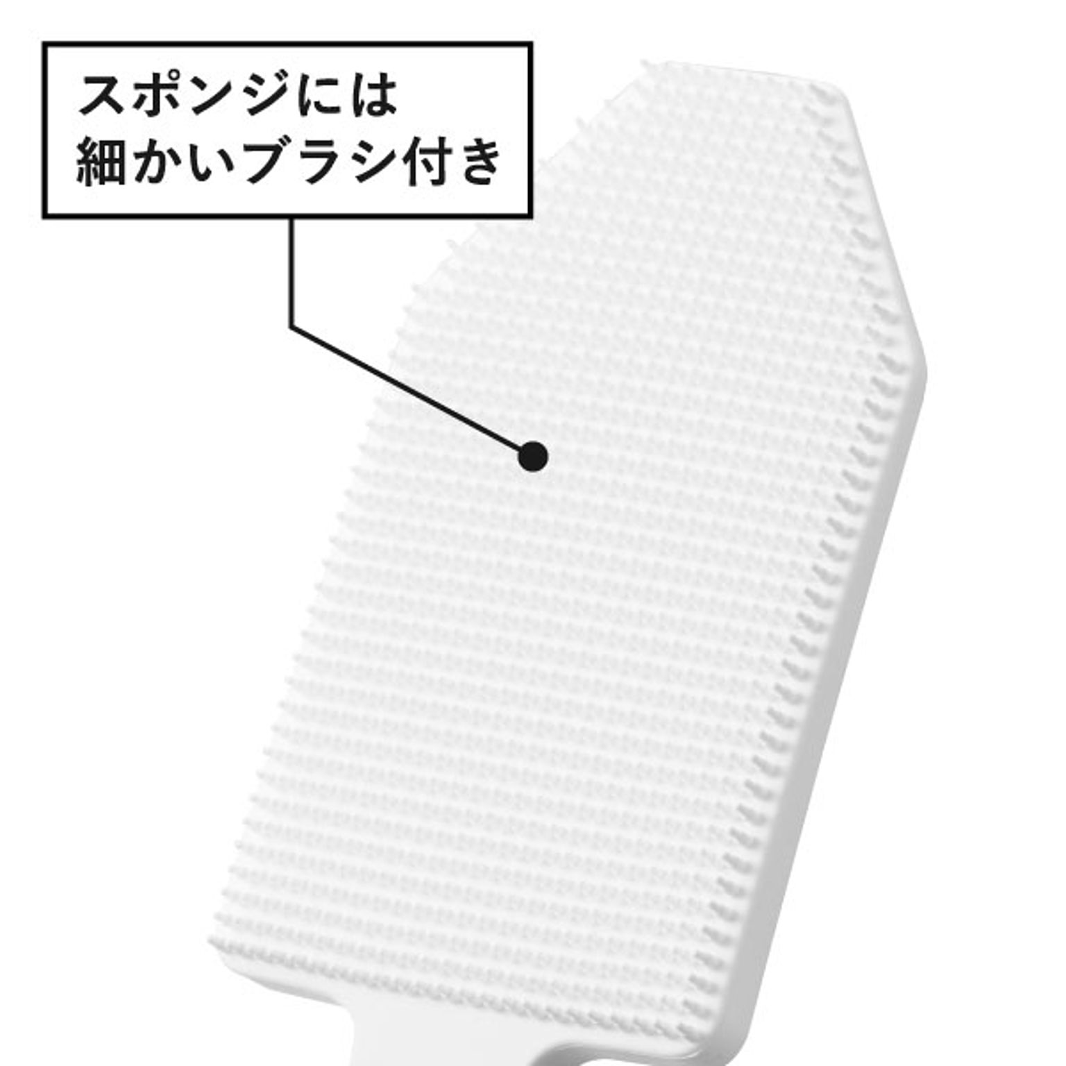 スポンジ