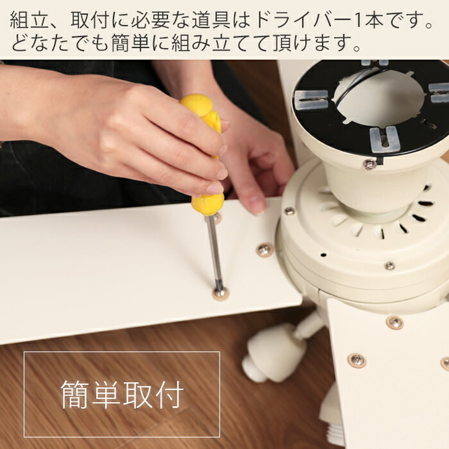 シーリングファンライト
