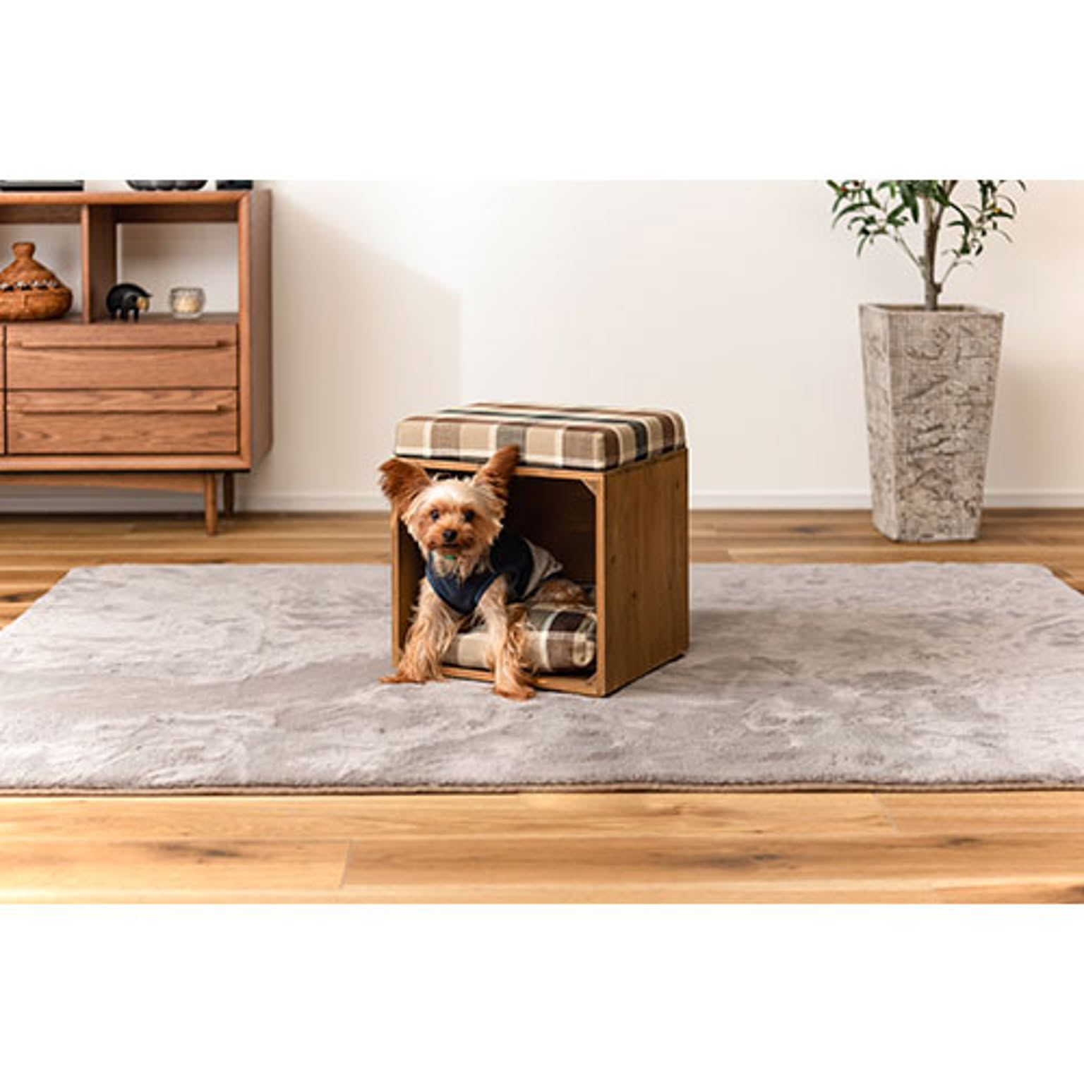 犬用インテリア・犬用家具