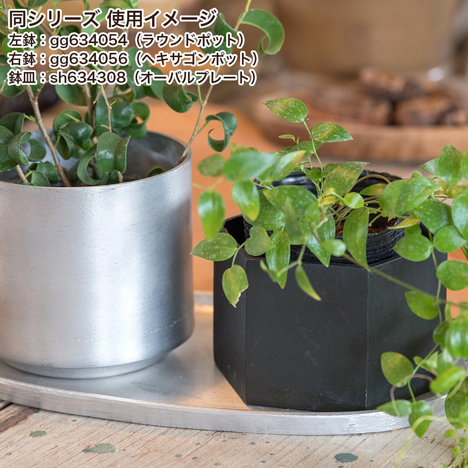 プランター・植木鉢