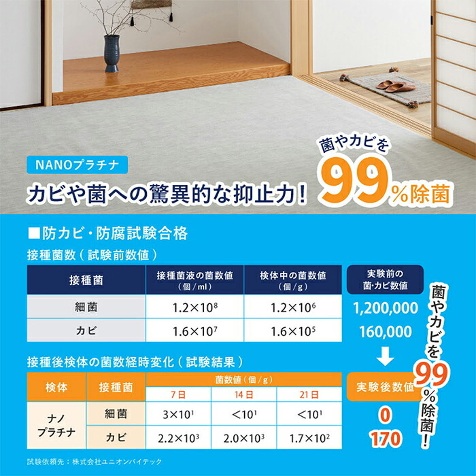 ラグ