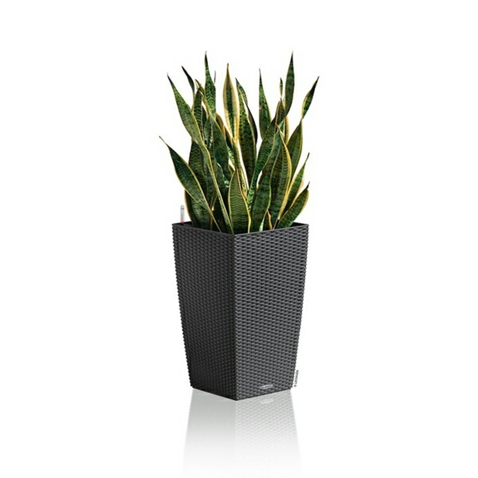 プランター・植木鉢