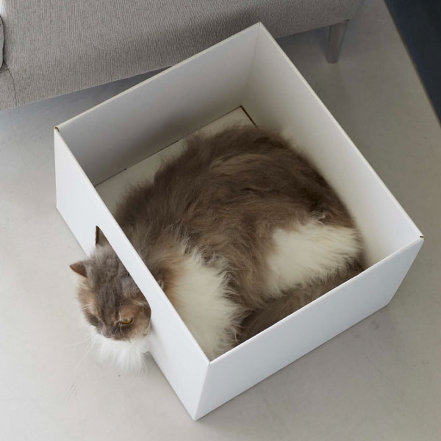 猫用インテリア・猫用家具