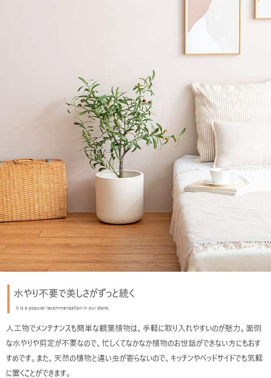 観葉植物