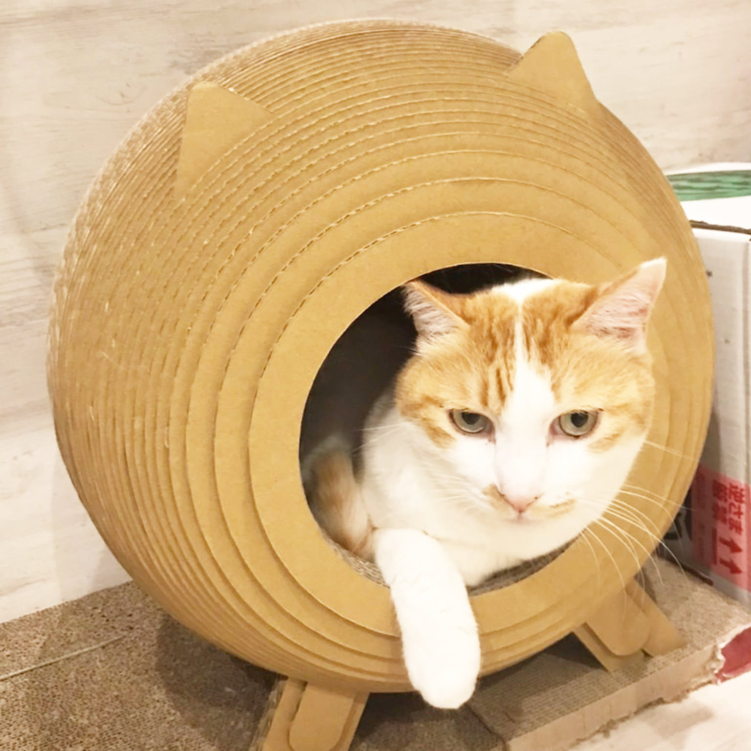 猫用インテリア・猫用家具