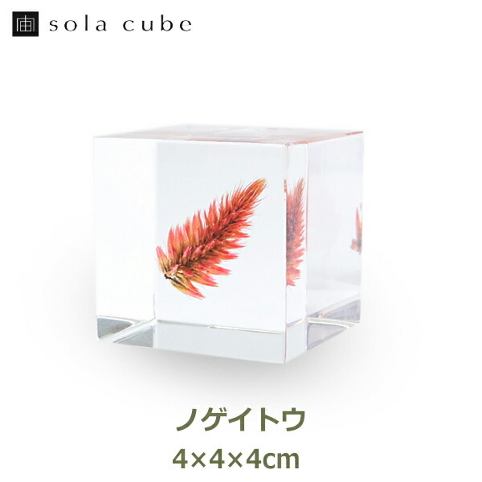 置物・オブジェ