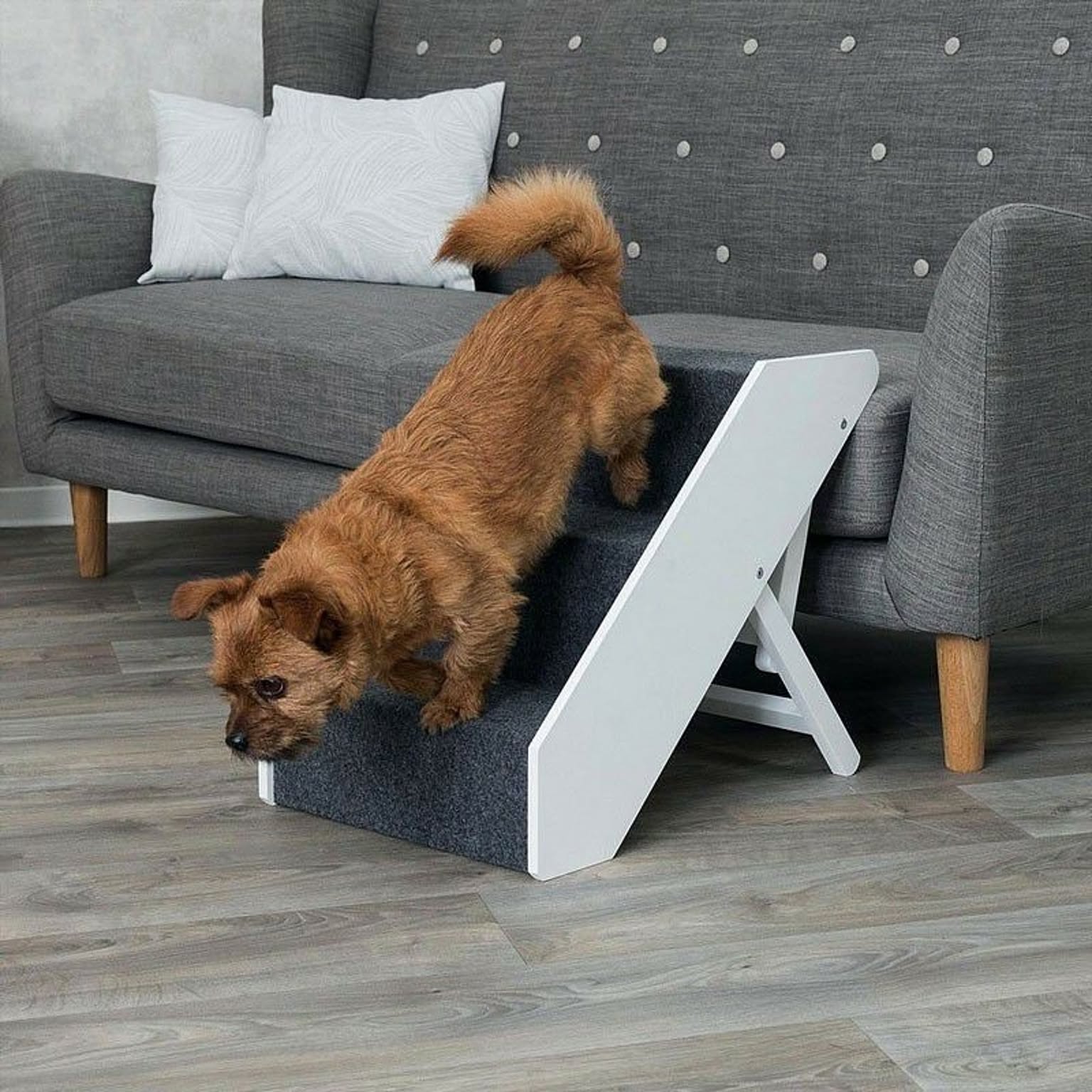 犬用インテリア・犬用家具