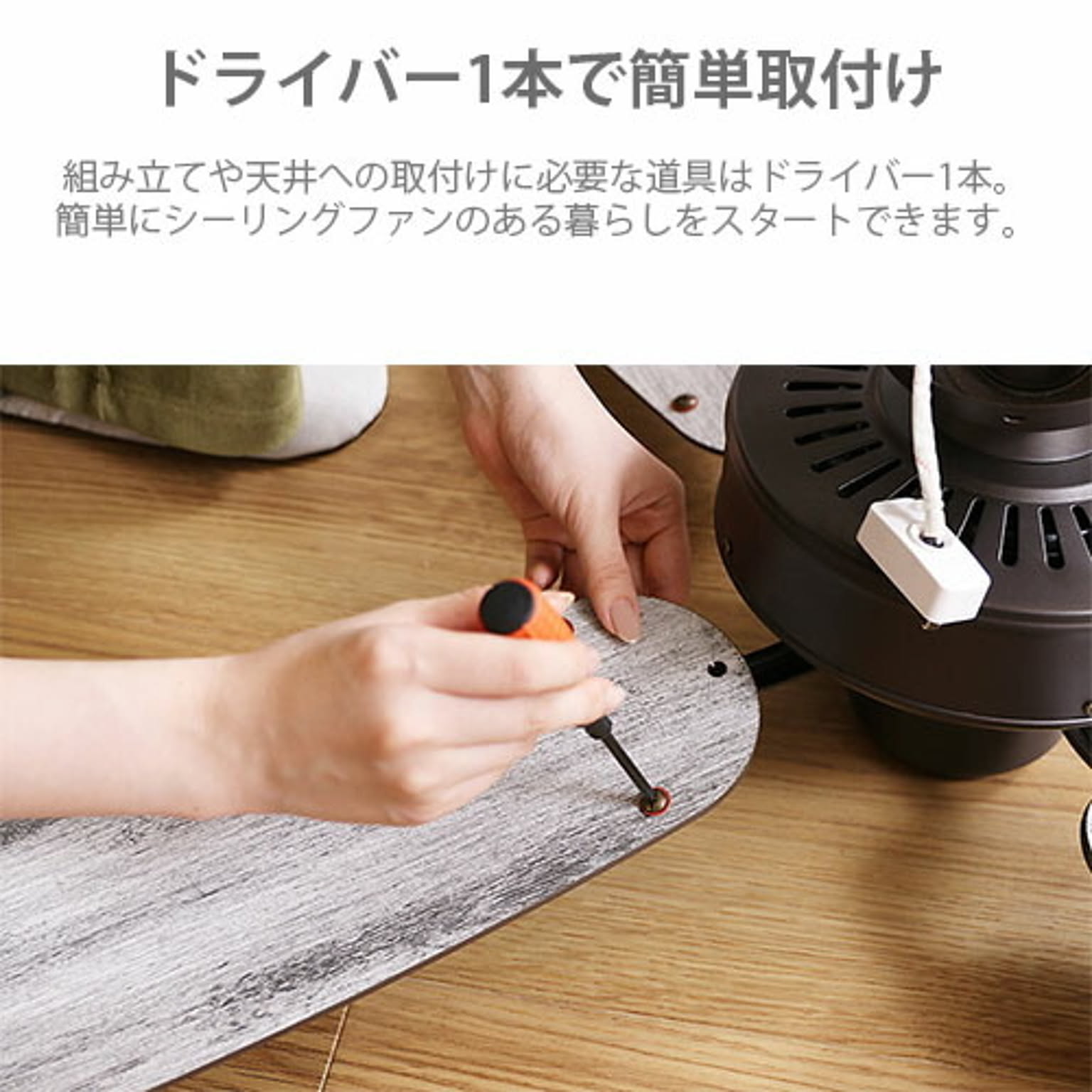 シーリングファンライト
