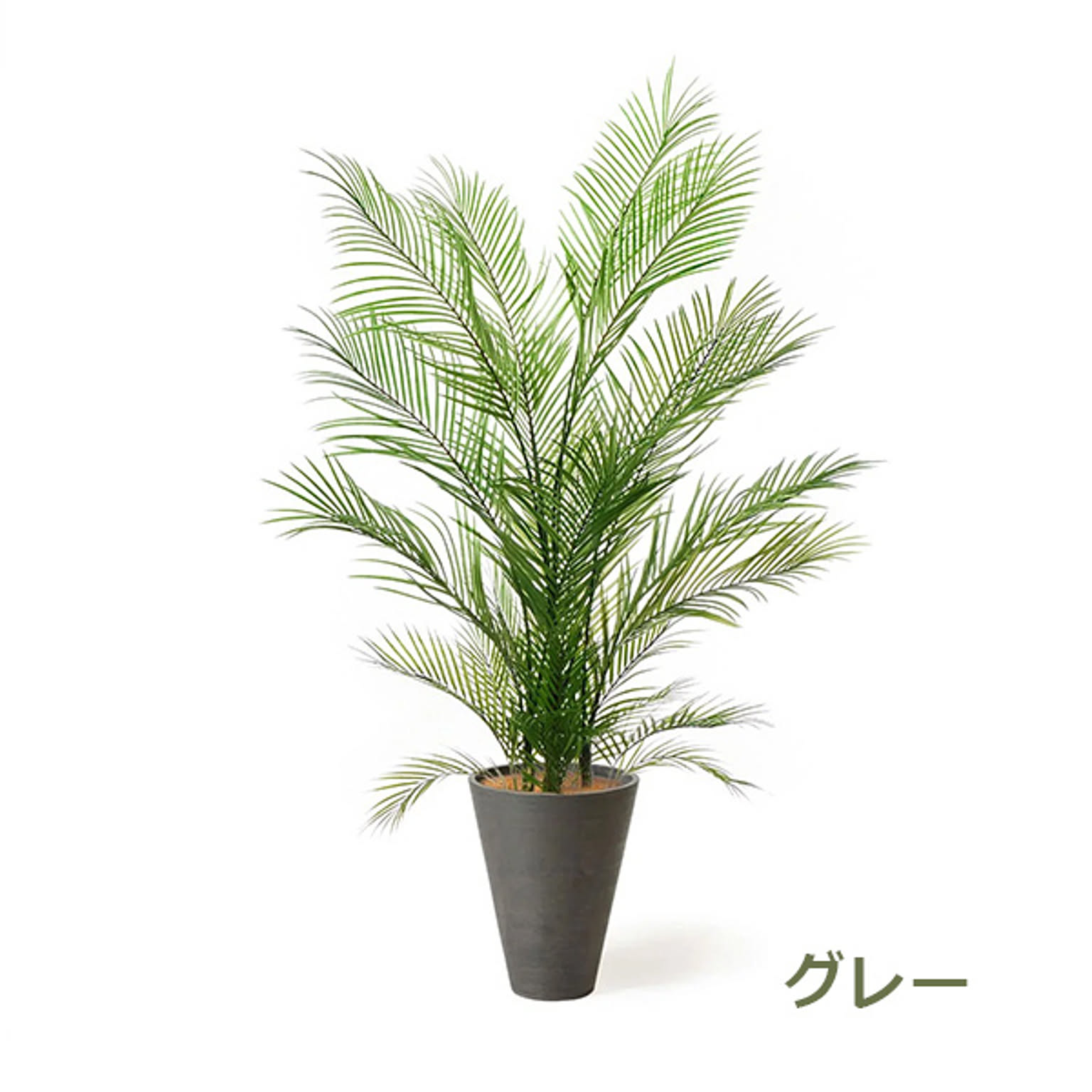 PRGR-1285 アレカヤシ GWプランター H160cm / GREENPARK プリマ
