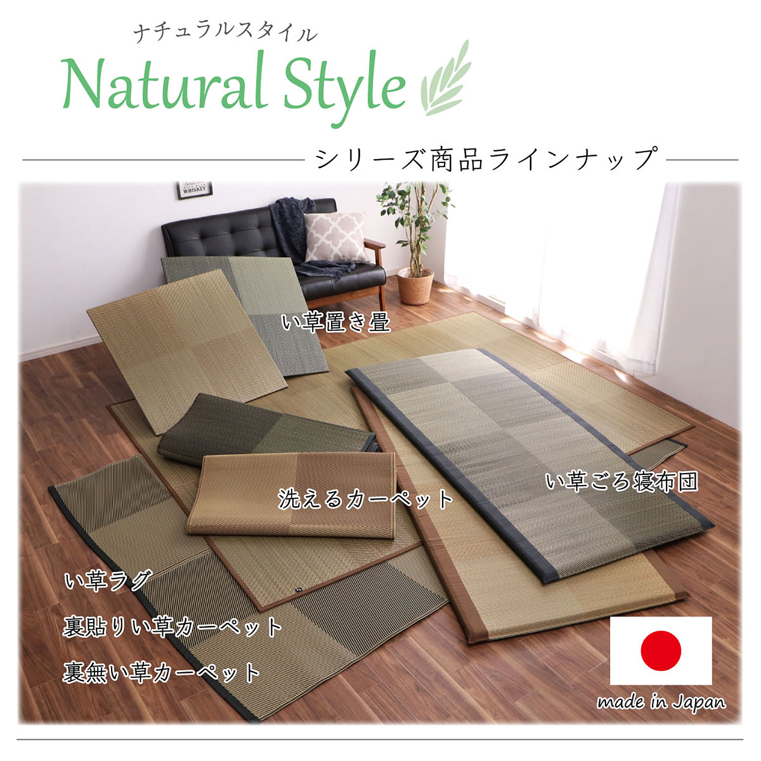 ござ・い草ラグ